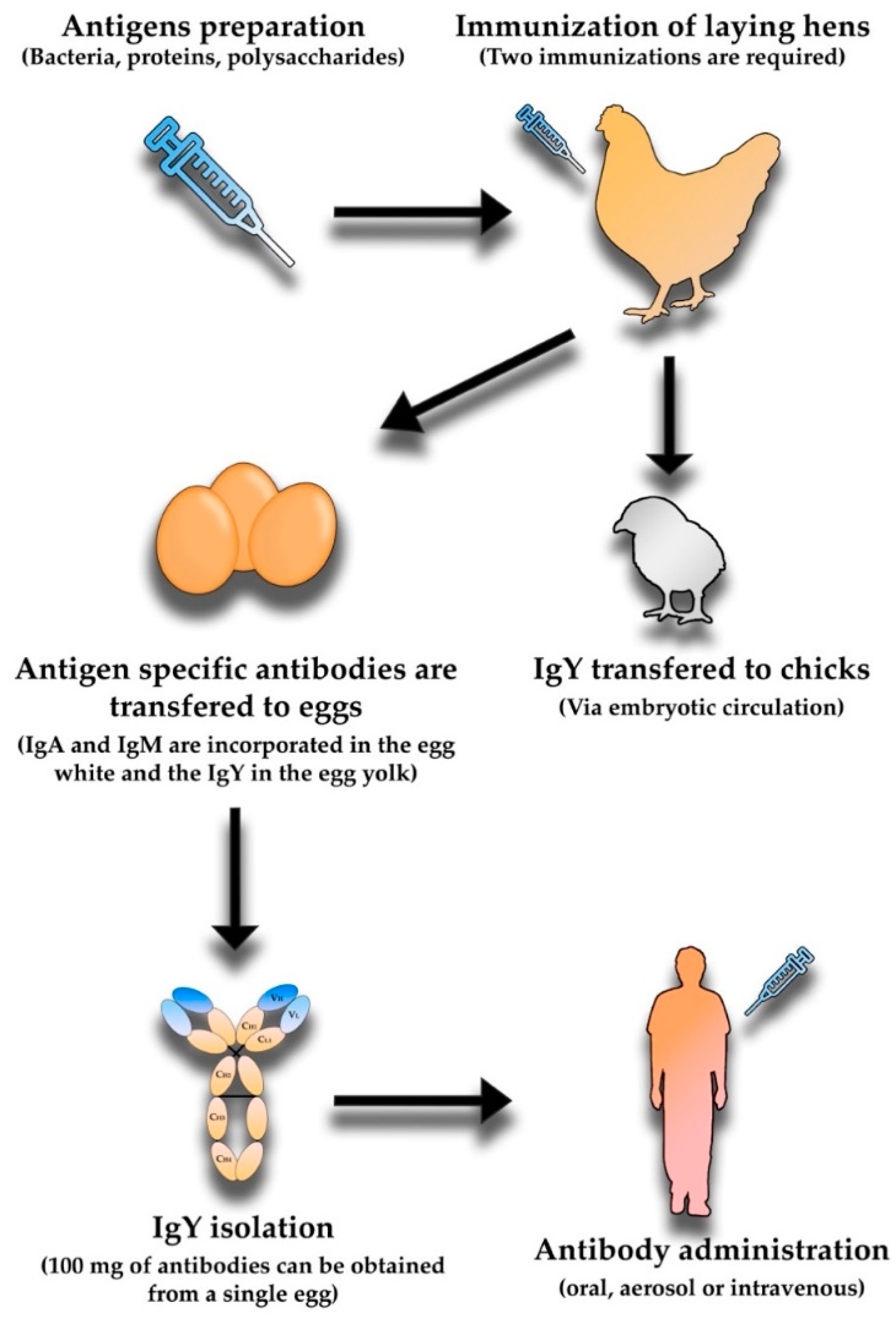 Vaccines 10 01789 g003 Vaccines 10 01789 g003