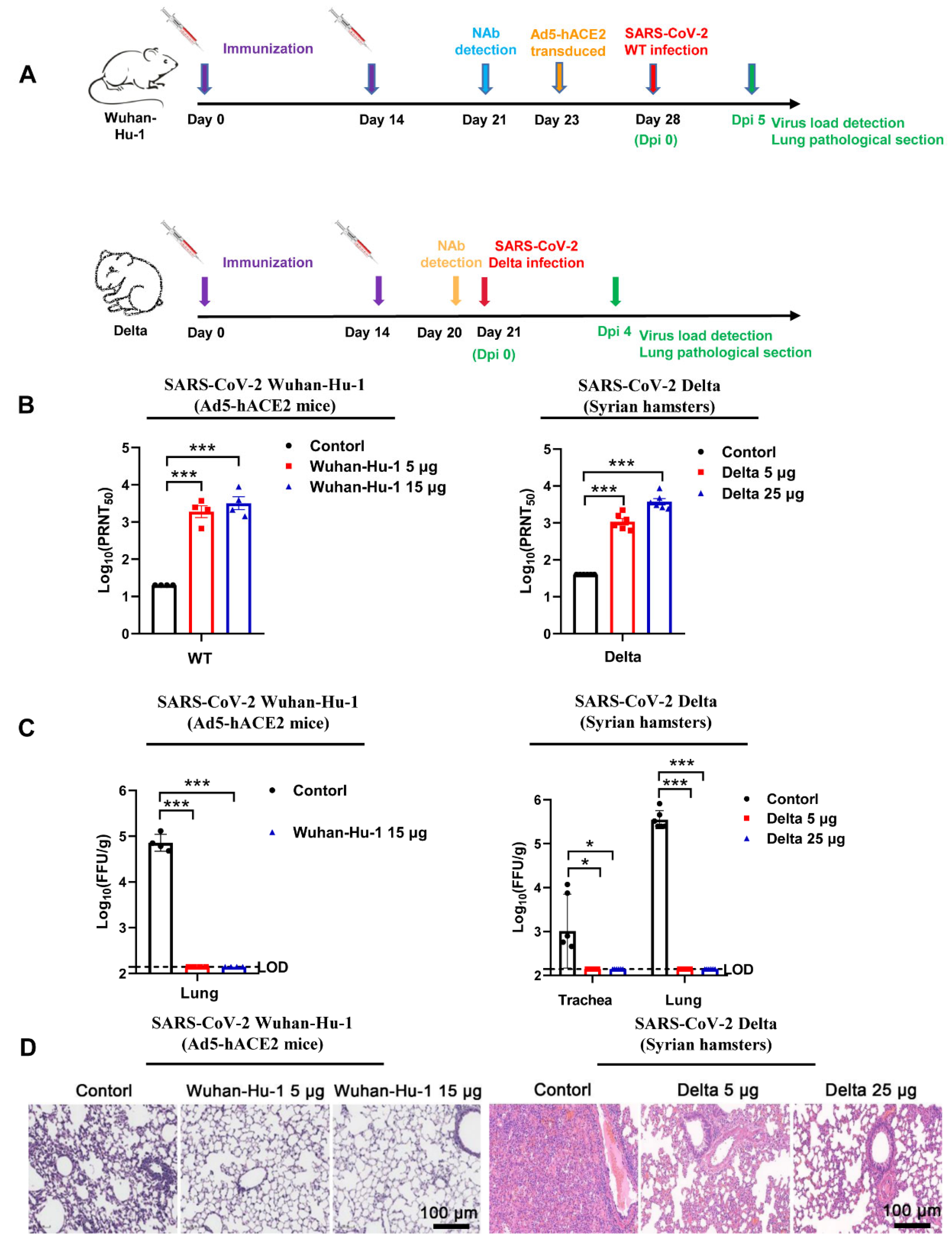 Vaccines 10 01807 g002