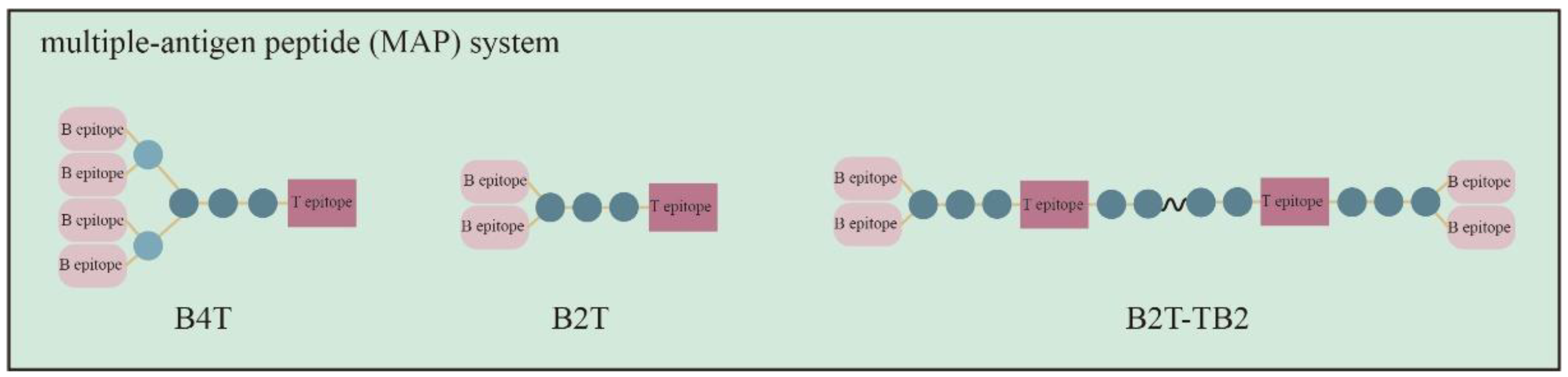 Vaccines 10 01817 g003