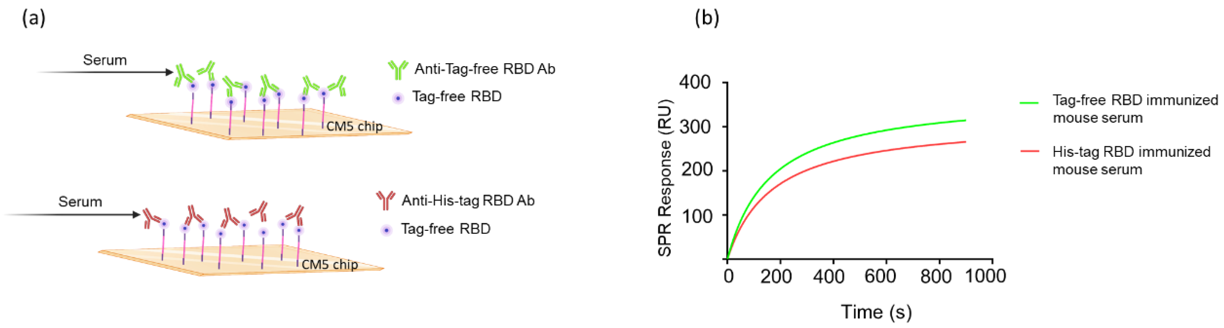Vaccines 10 01839 g004 Vaccines 10 01839 g004