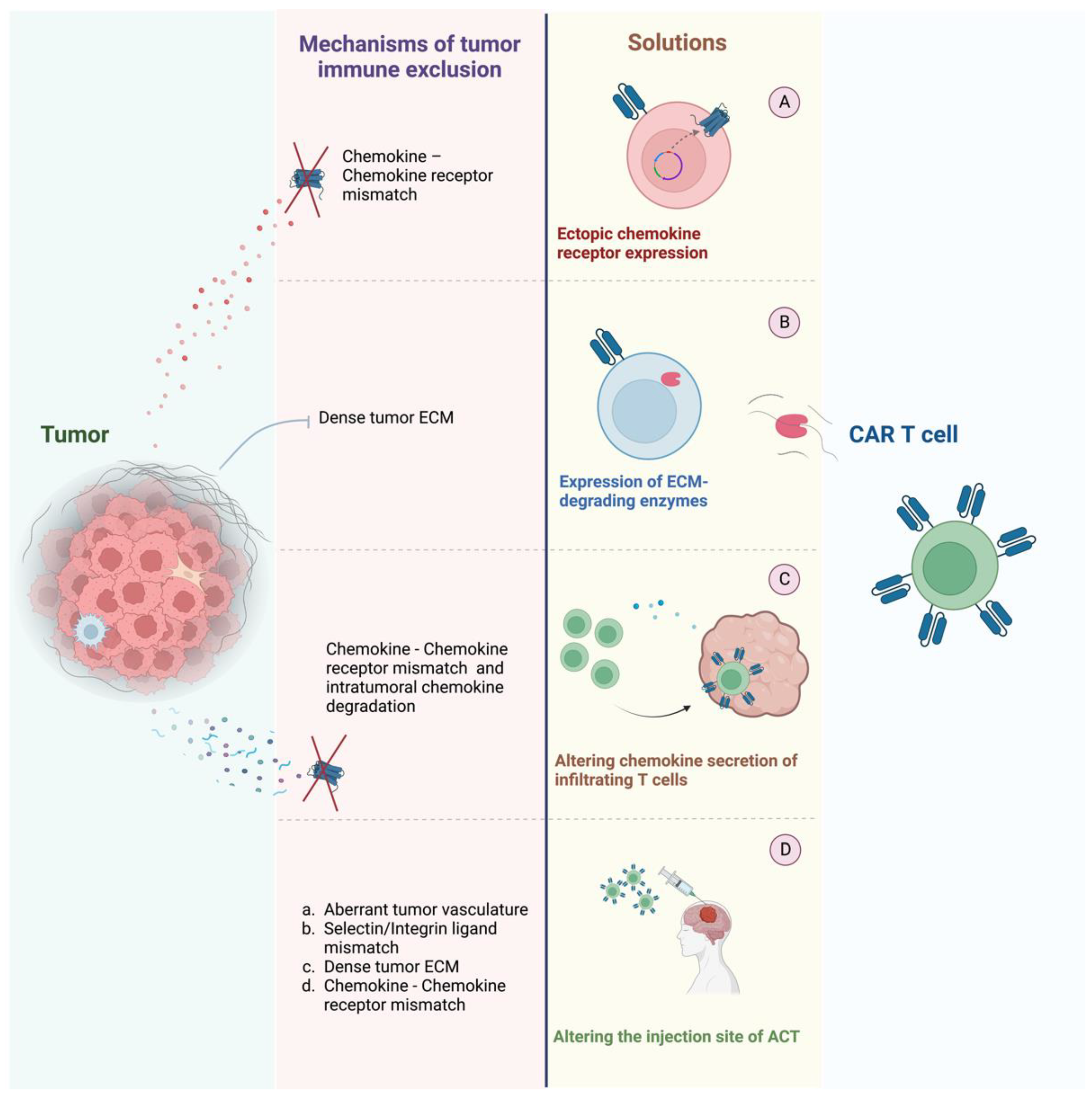 Vaccines 10 01845 g002