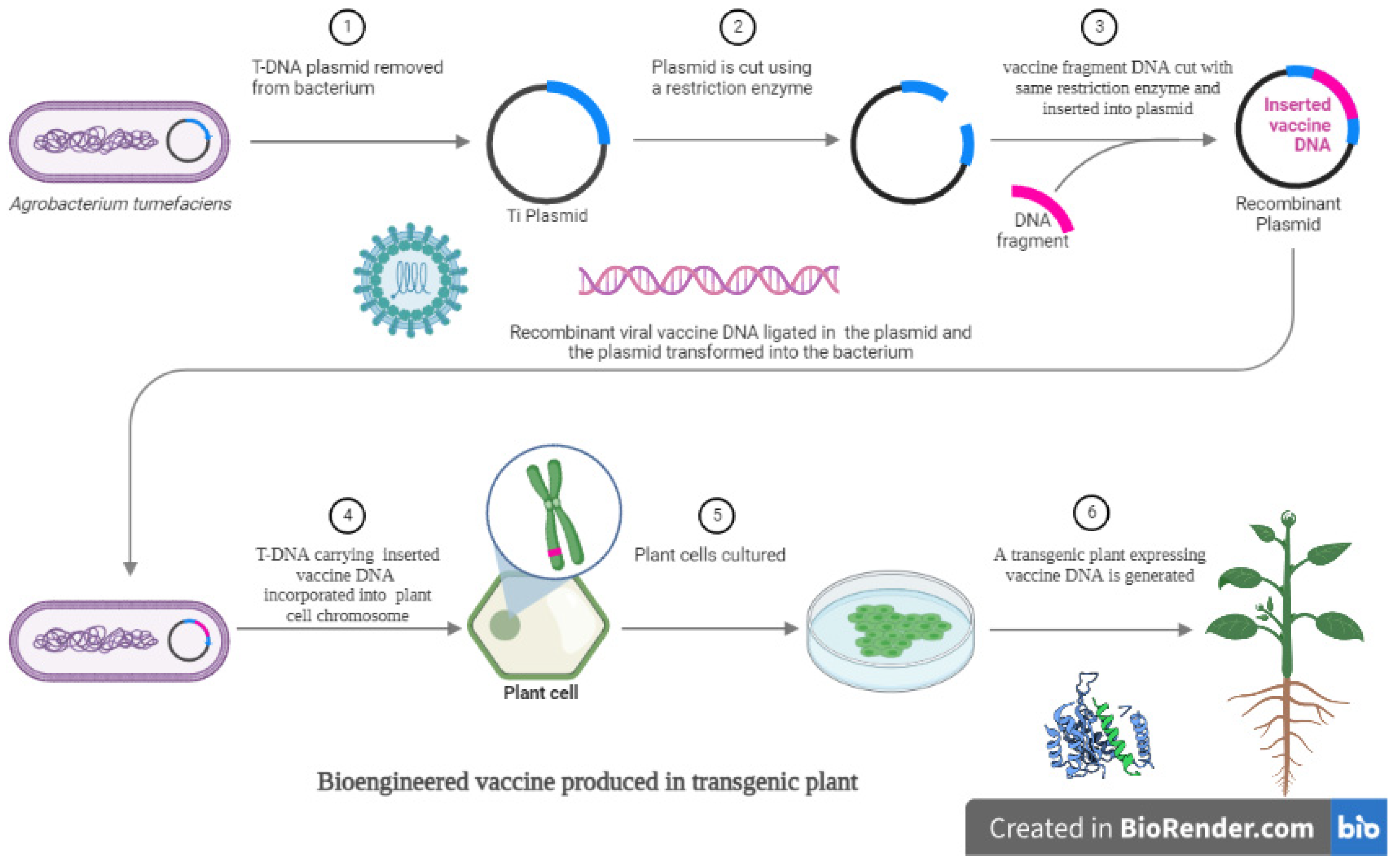 Vaccines 10 01861 g001