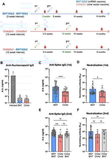 Vaccines 10 01864 g001