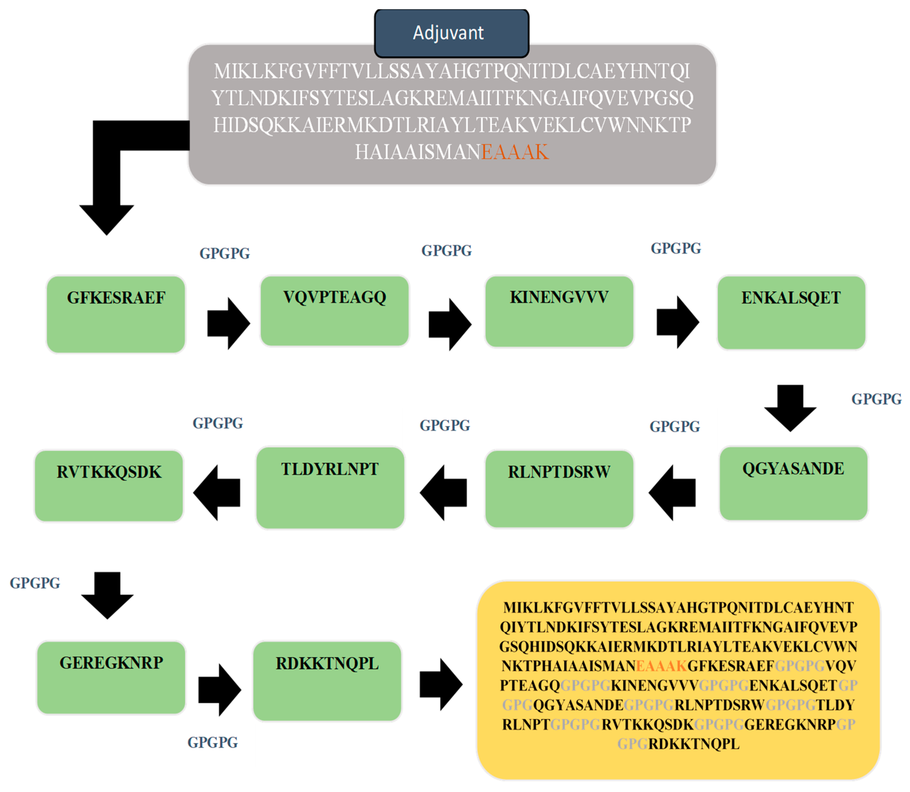 Vaccines 10 01886 g004