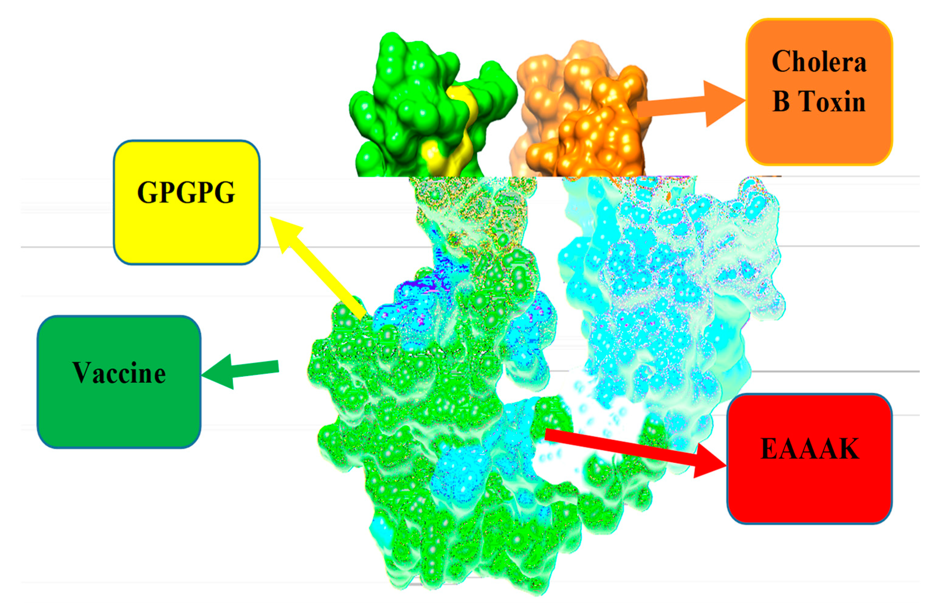 Vaccines 10 01886 g005
