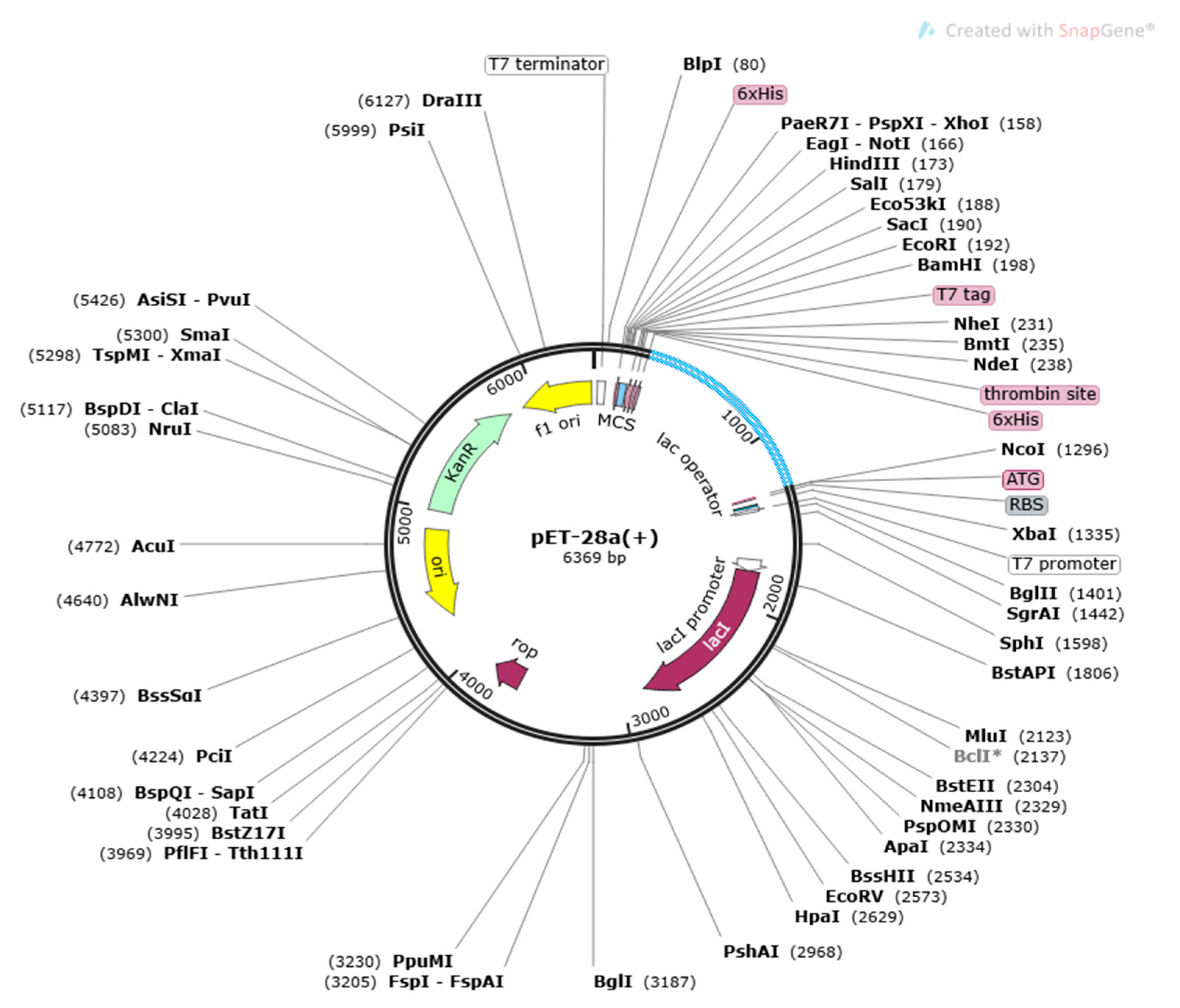 Vaccines 10 01886 g007