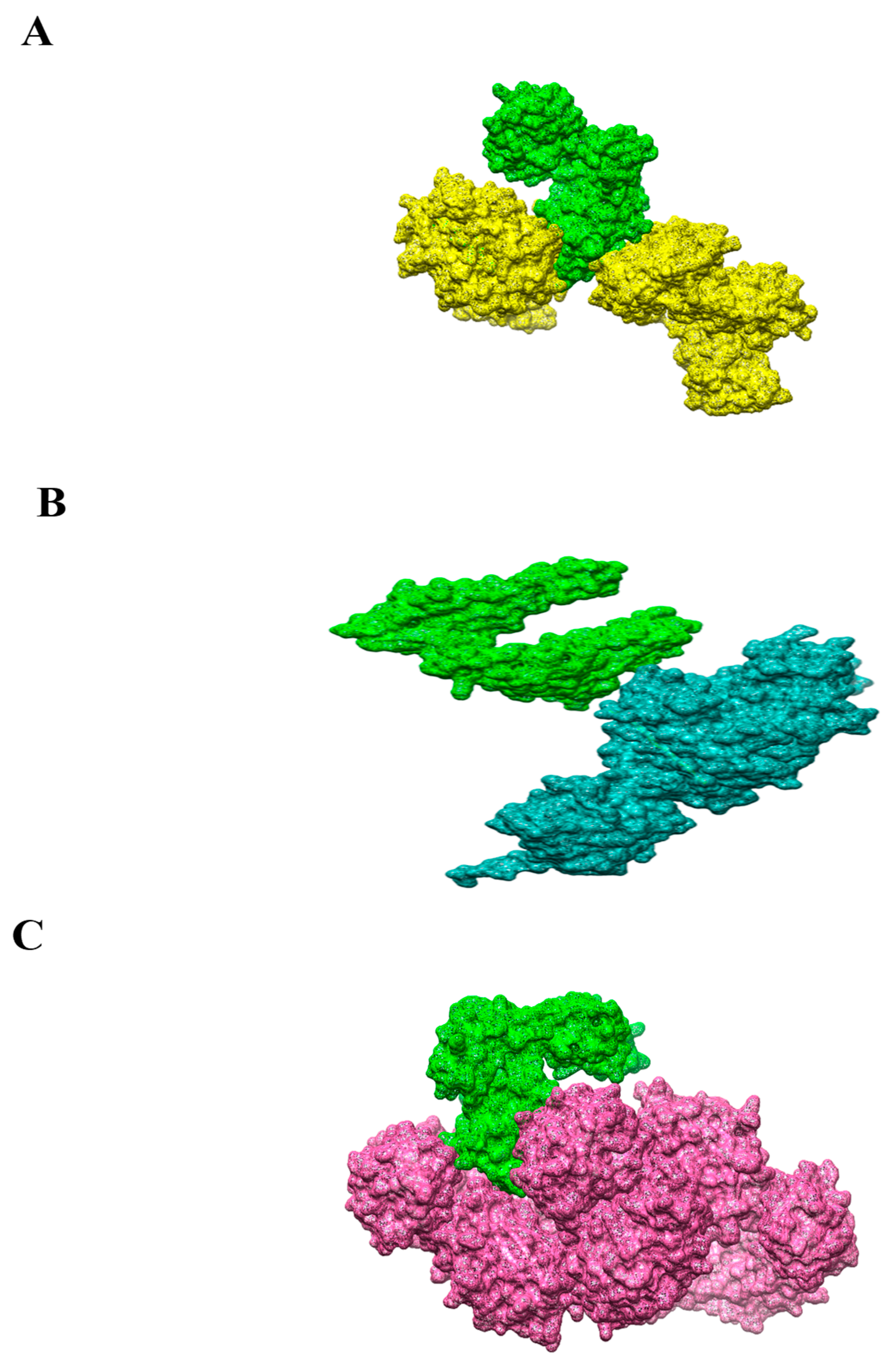 Vaccines 10 01886 g008