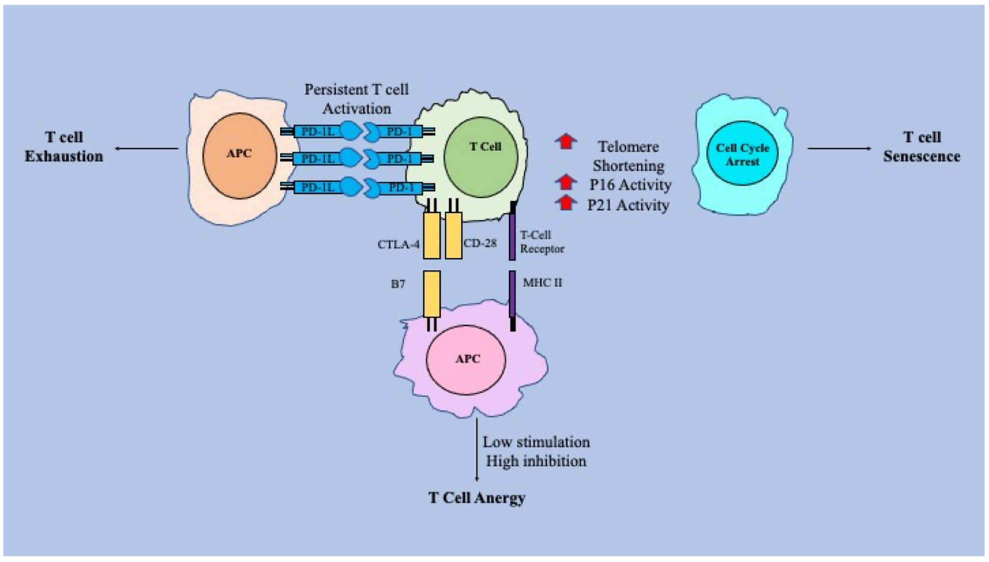 Vaccines 10 01892 g001