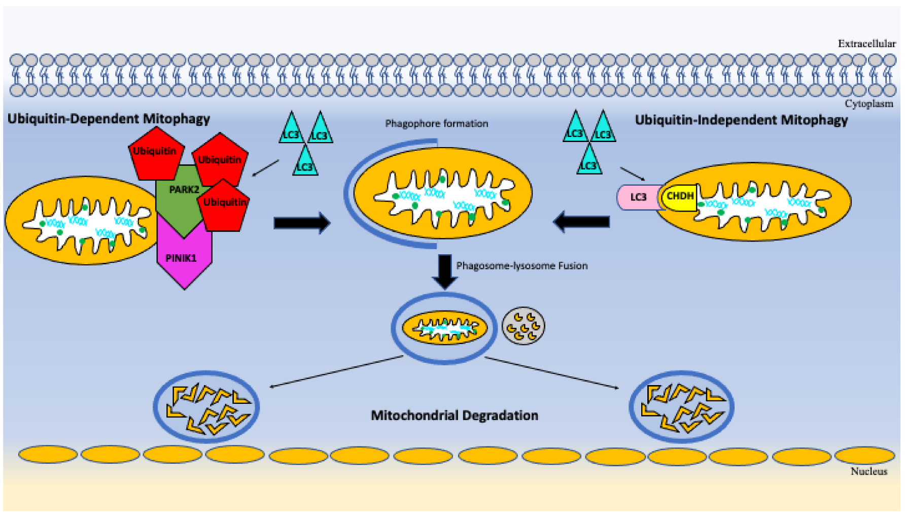 Vaccines 10 01892 g003
