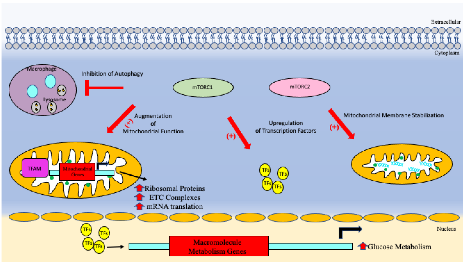 Vaccines 10 01892 g004