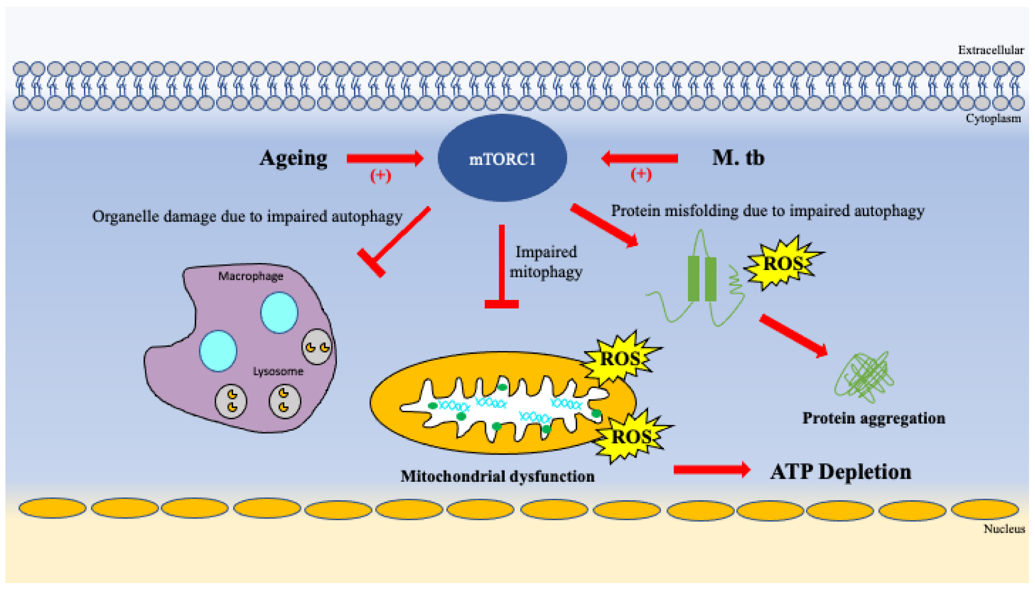 Vaccines 10 01892 g005