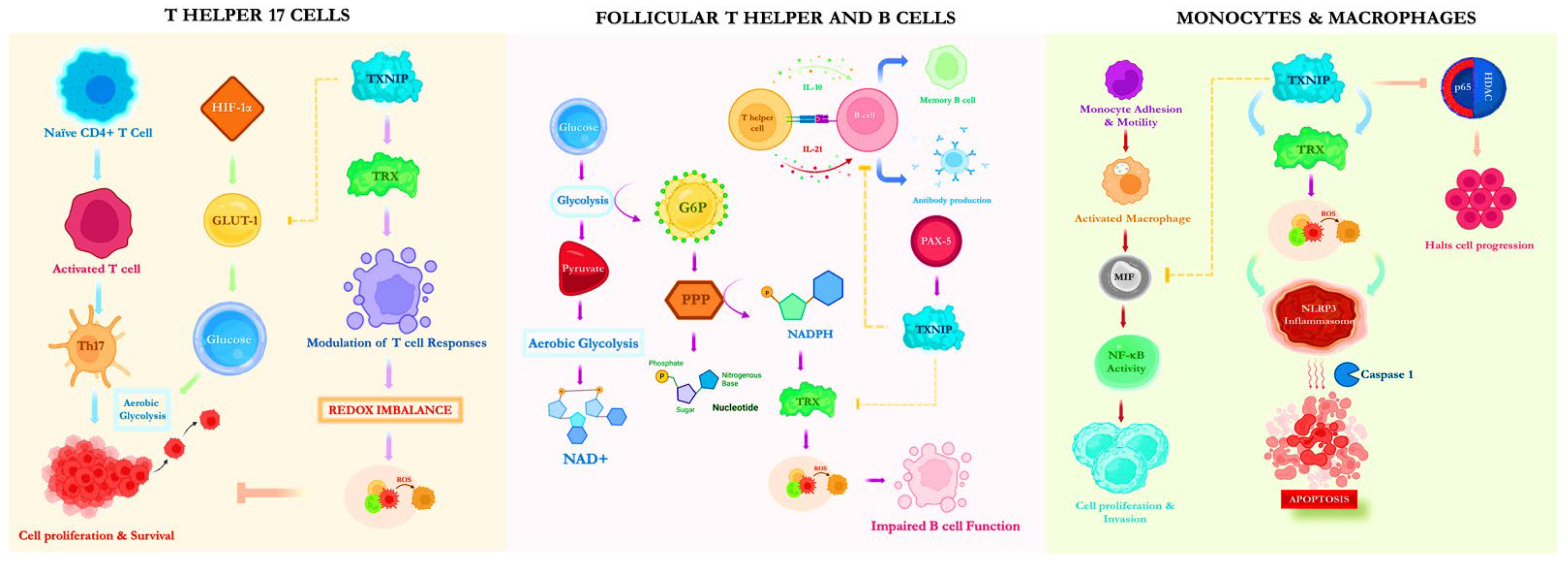 Vaccines 10 01902 g001