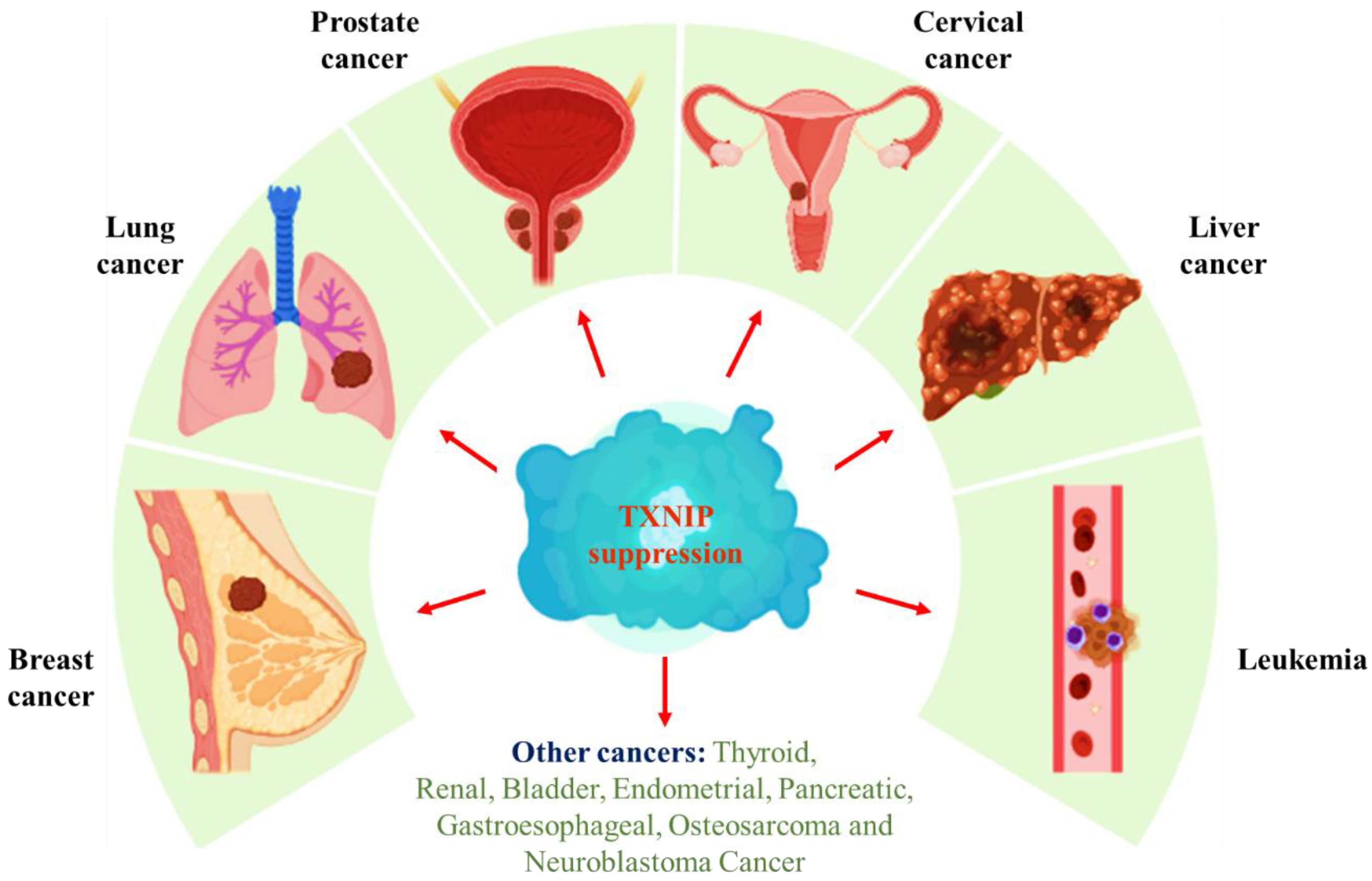 Vaccines 10 01902 g002