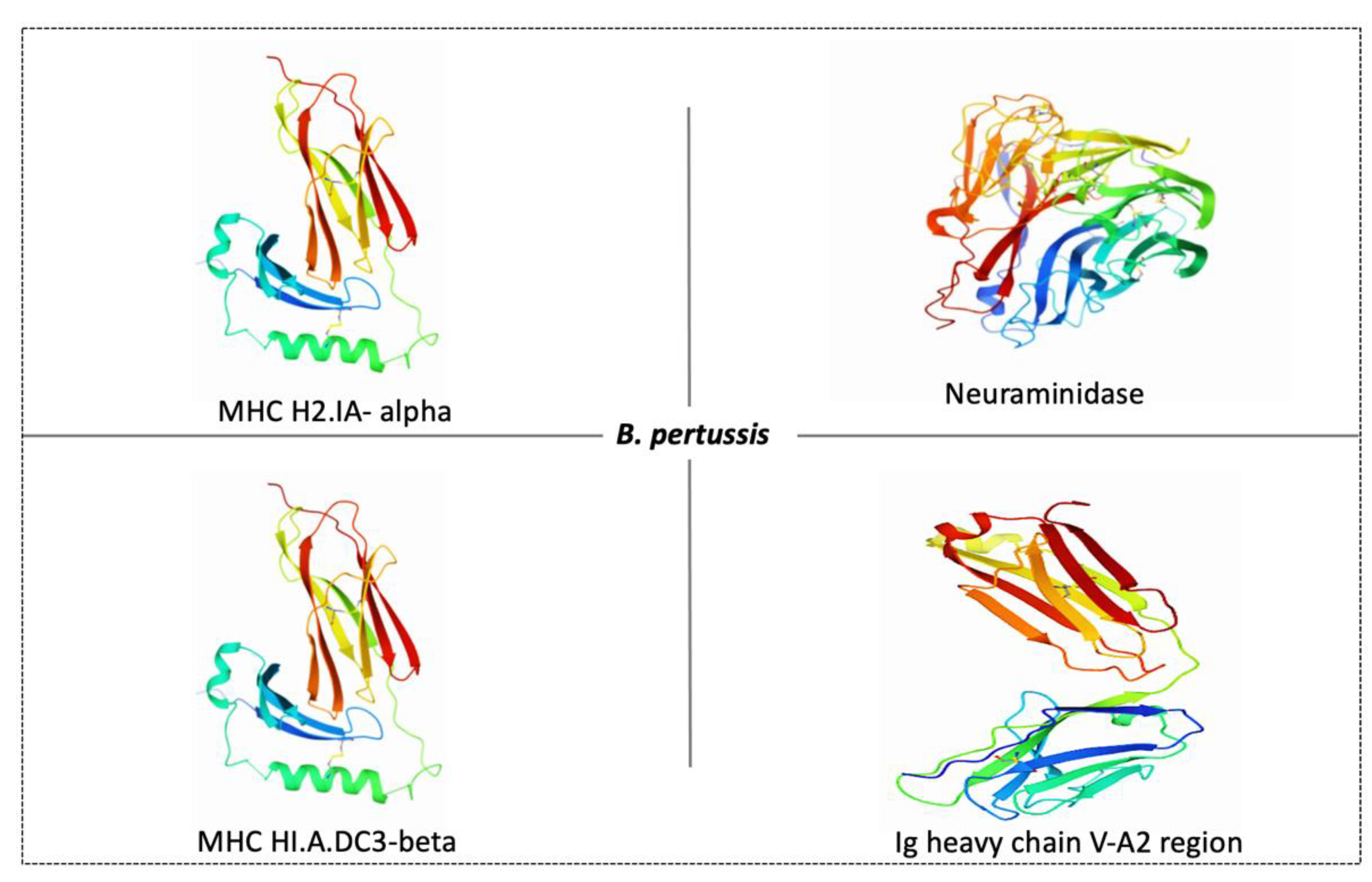 Vaccines 10 01915 g004