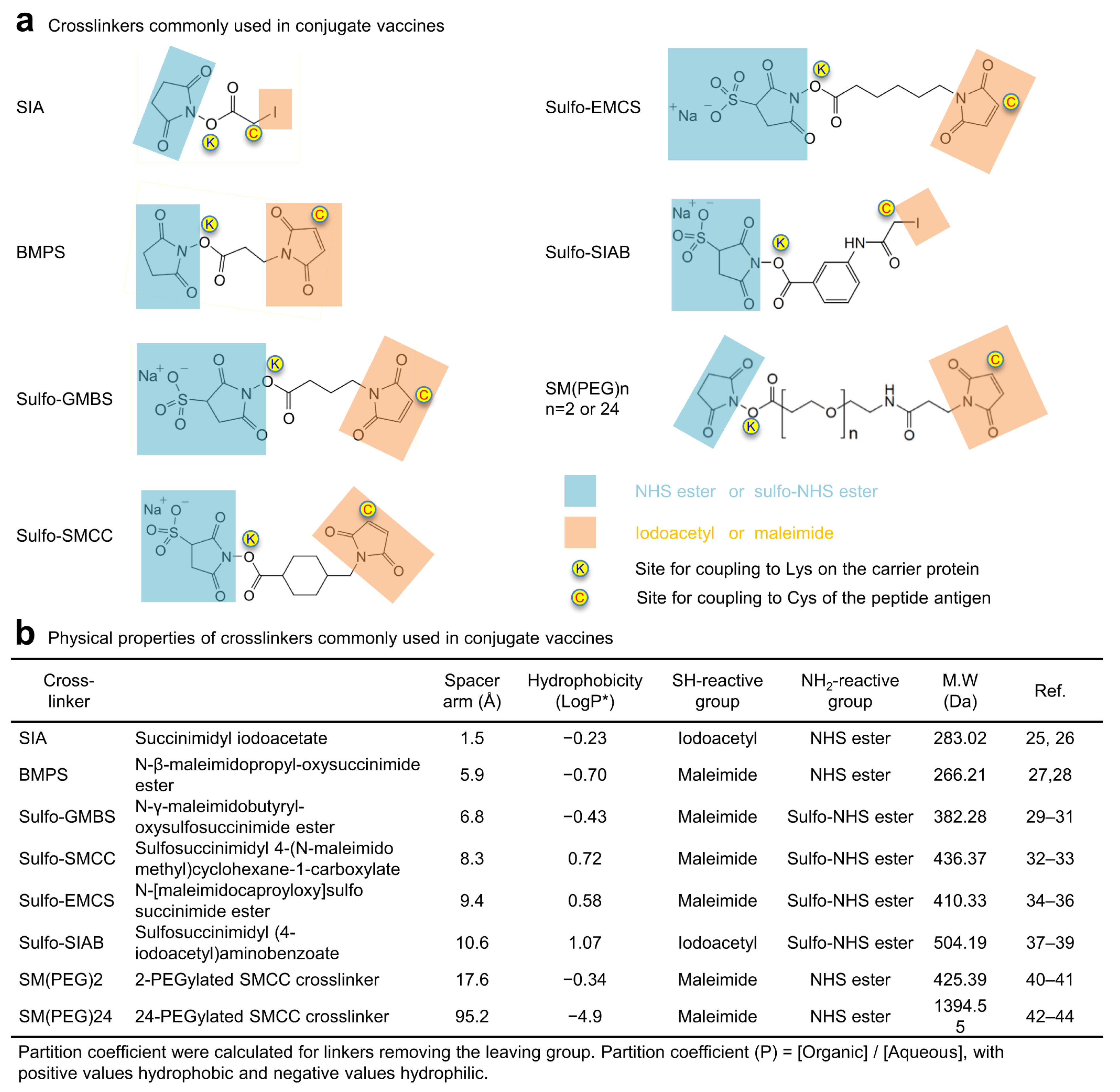 Vaccines 10 01916 g001