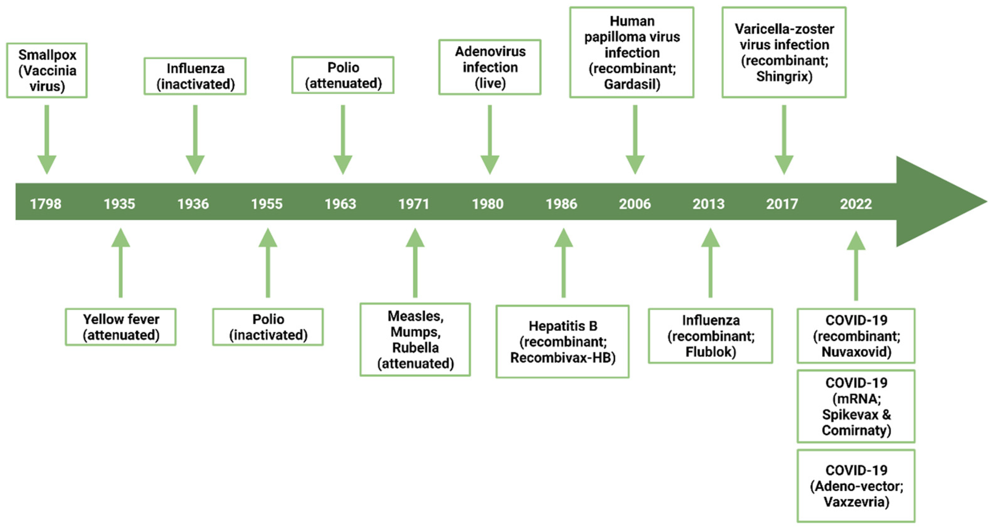 Vaccines 10 01920 g001