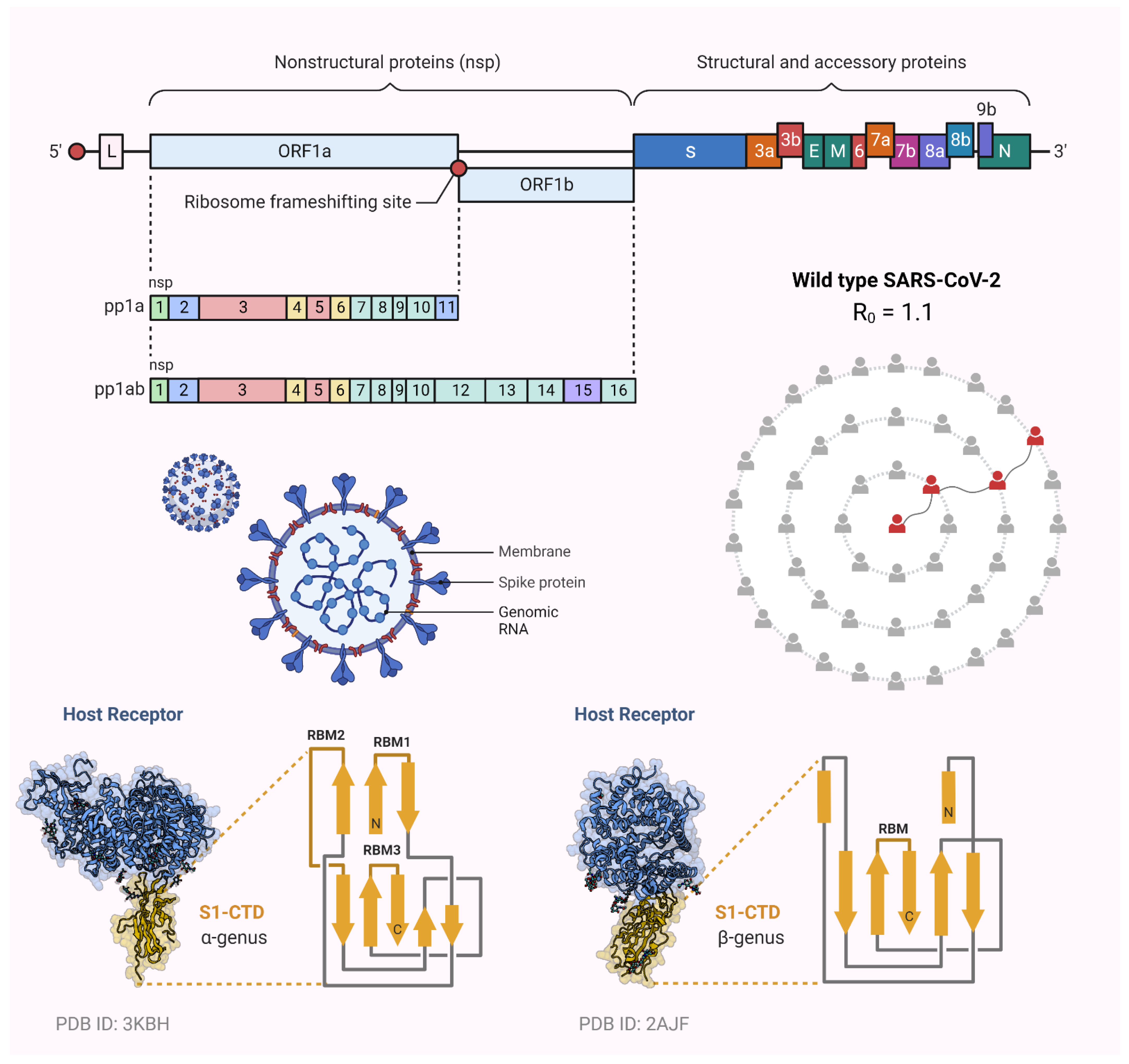 Vaccines 10 01926 g002