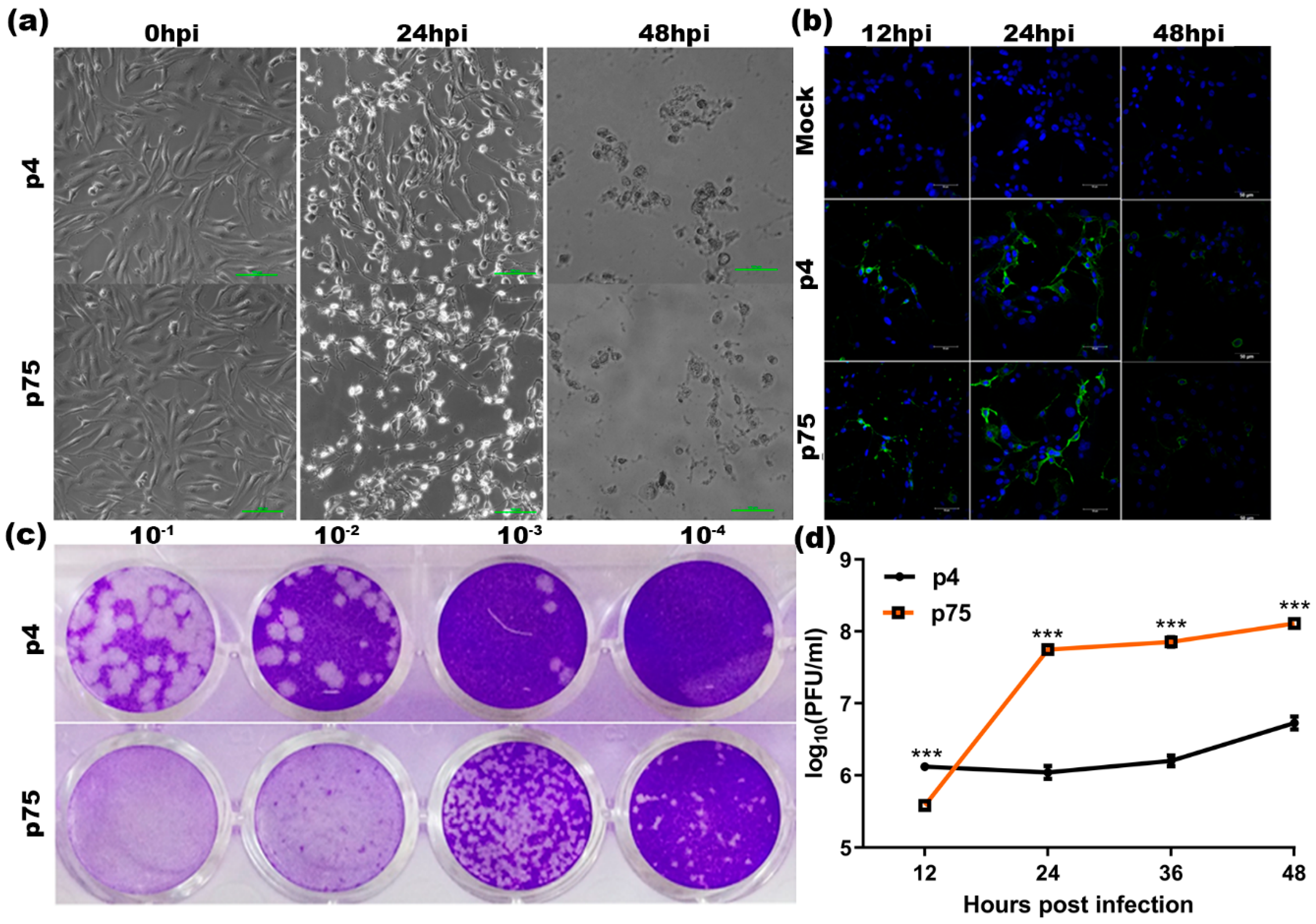 Vaccines 10 01939 g001 Vaccines 10 01939 g001