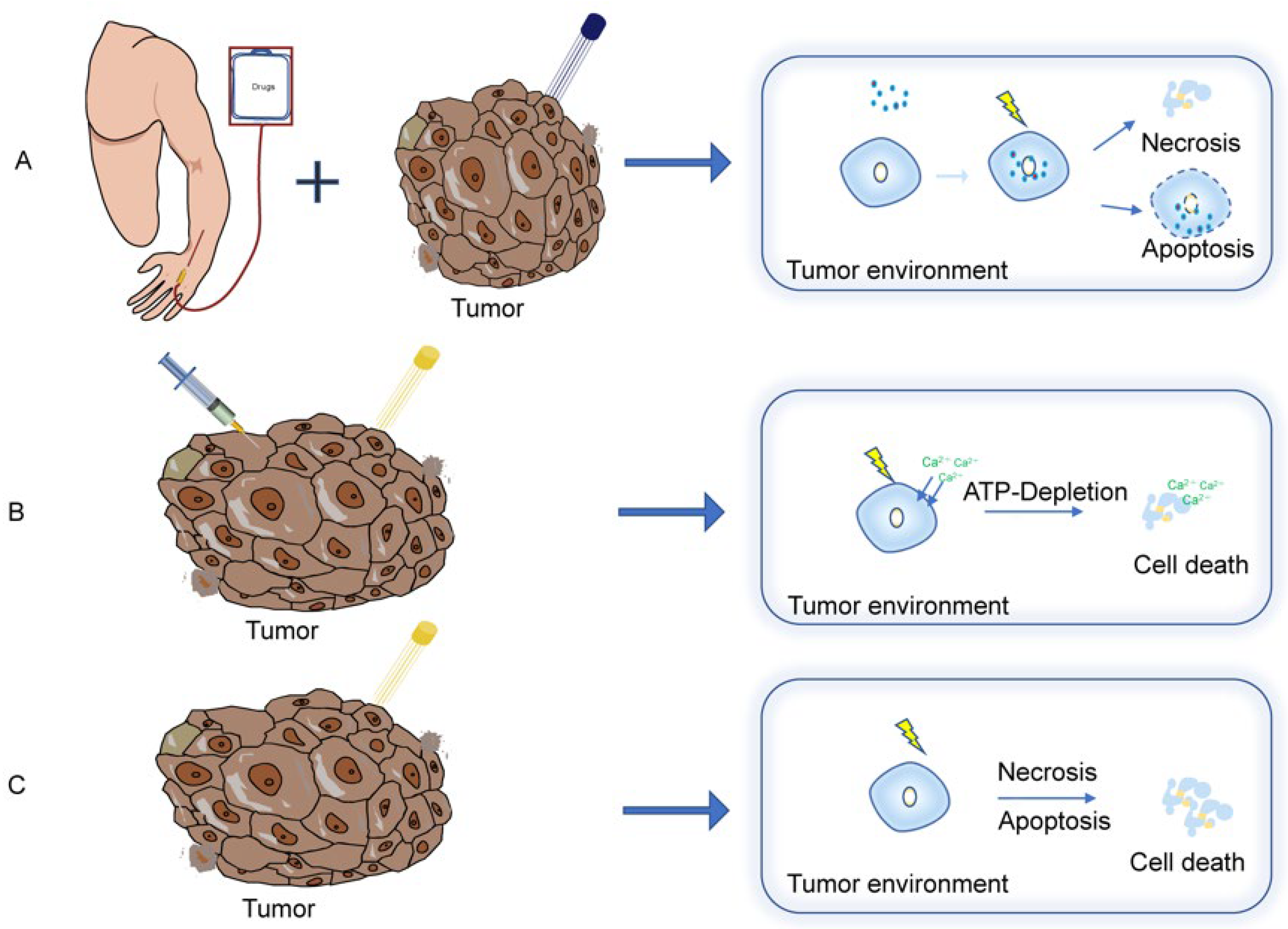 Vaccines 10 01942 g002