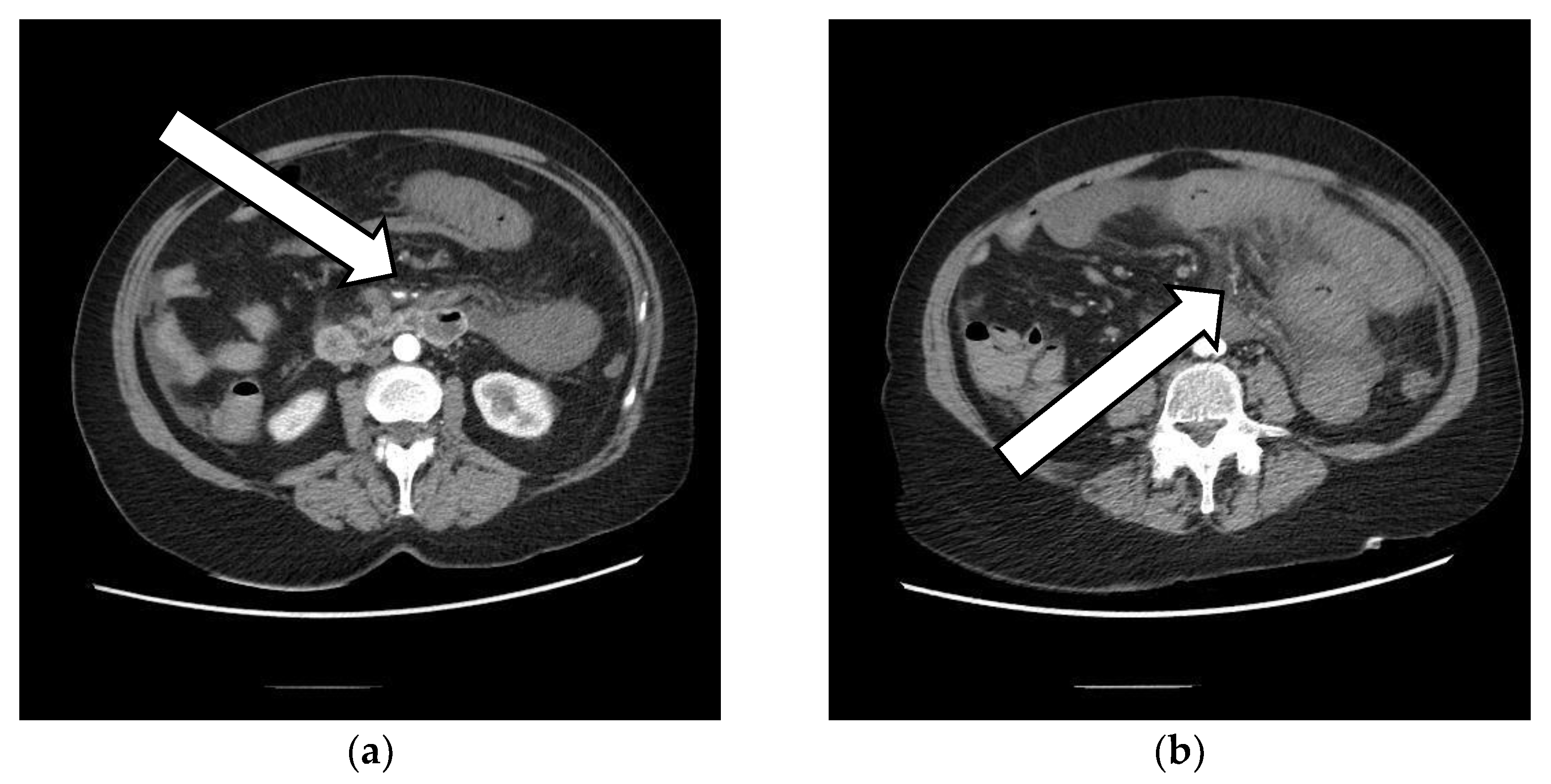 Vaccines 10 01950 g001