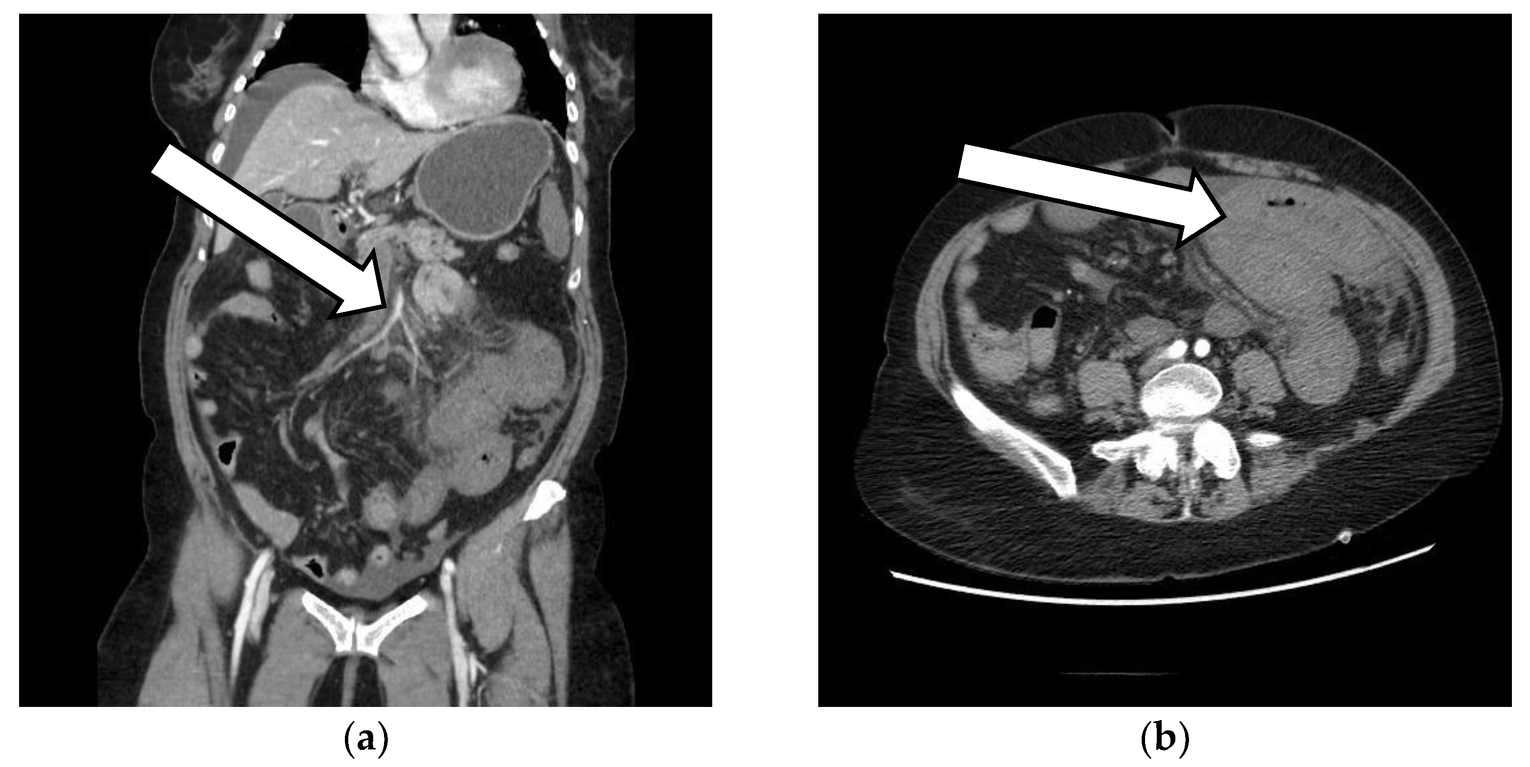 Vaccines 10 01950 g002