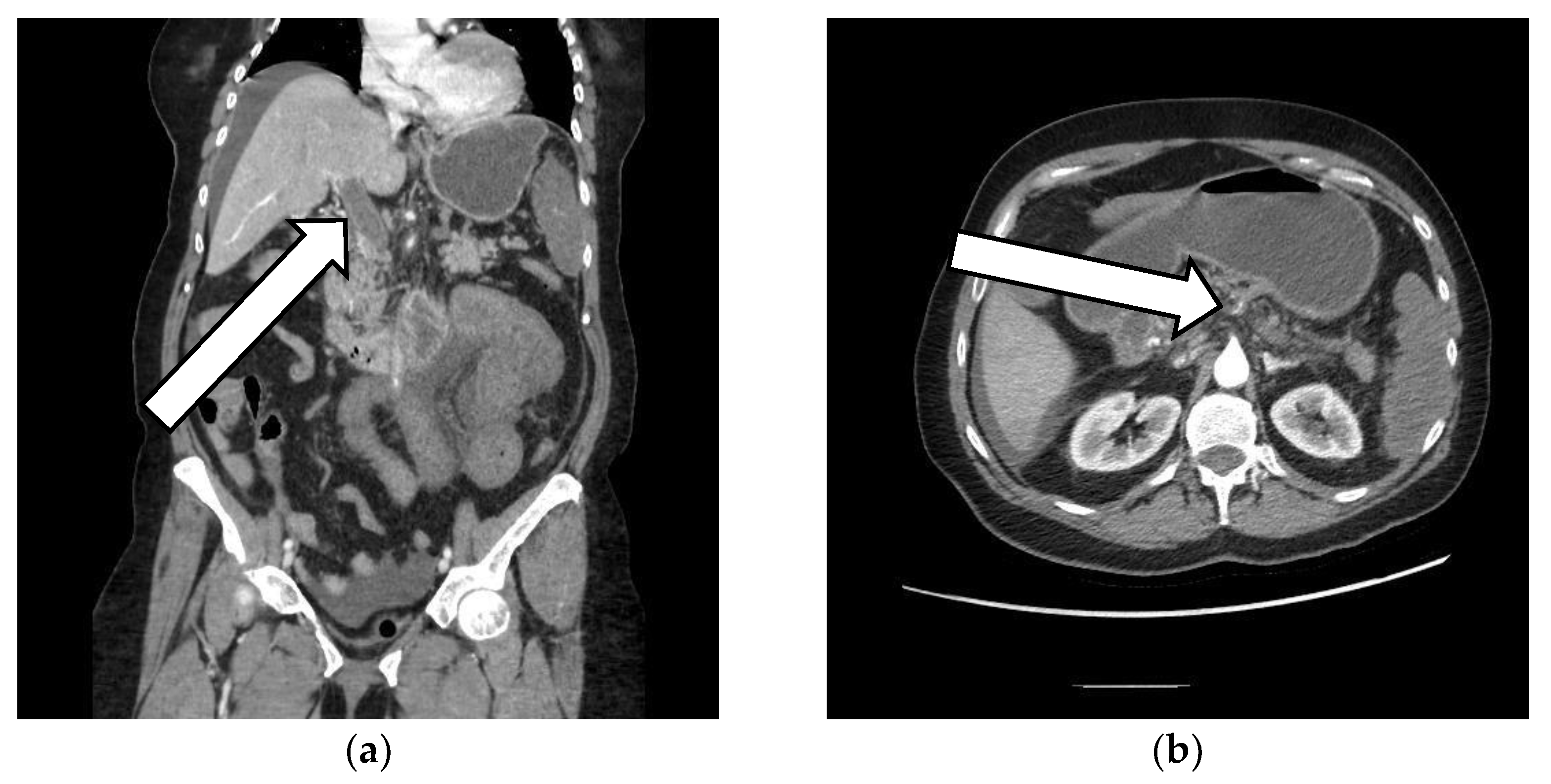 Vaccines 10 01950 g003