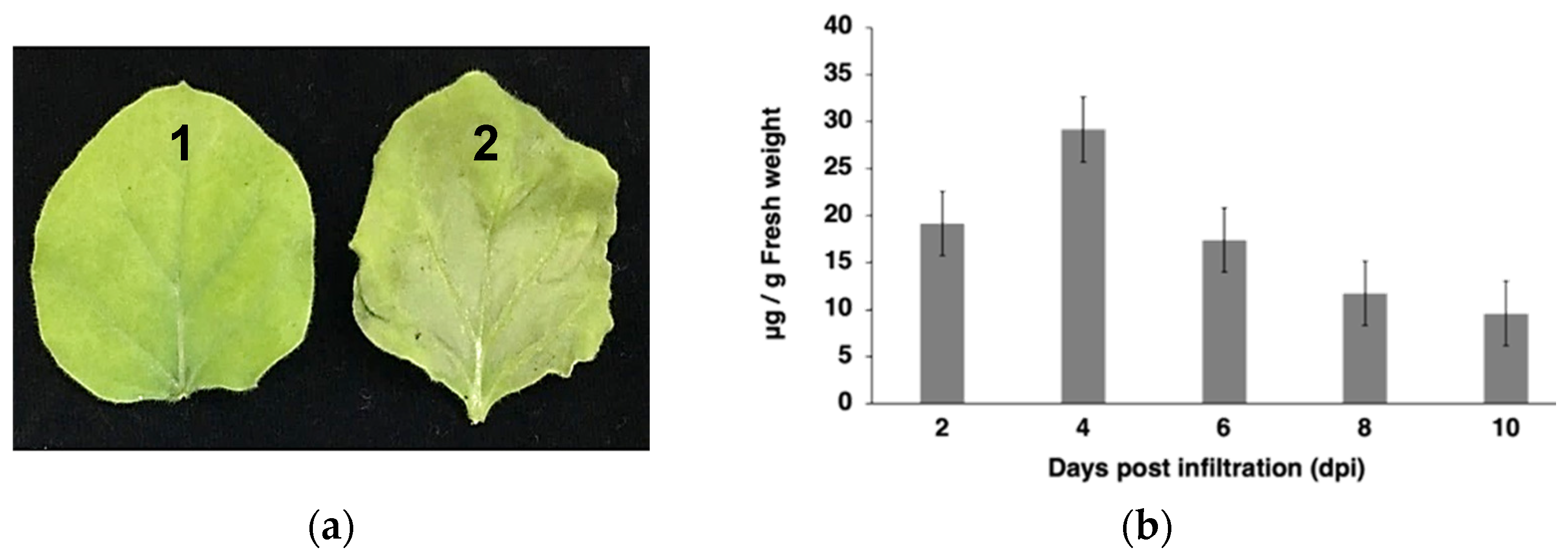 Vaccines 10 01961 g002a