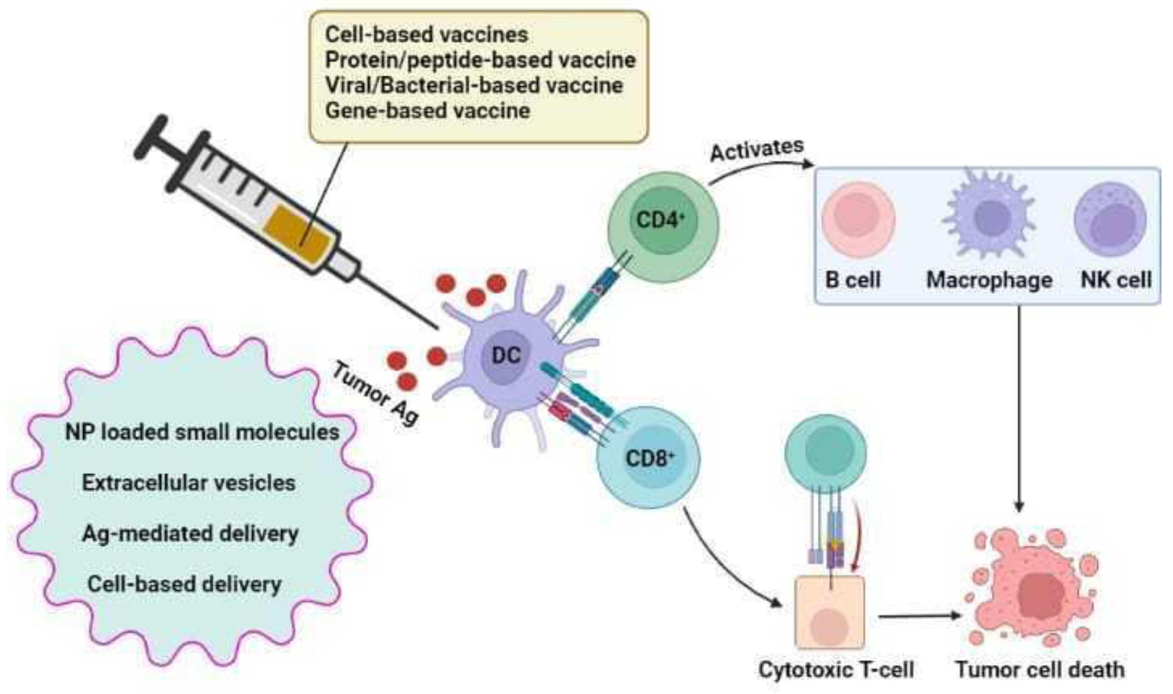 Vaccines 10 01963 g002 Vaccines 10 01963 g002