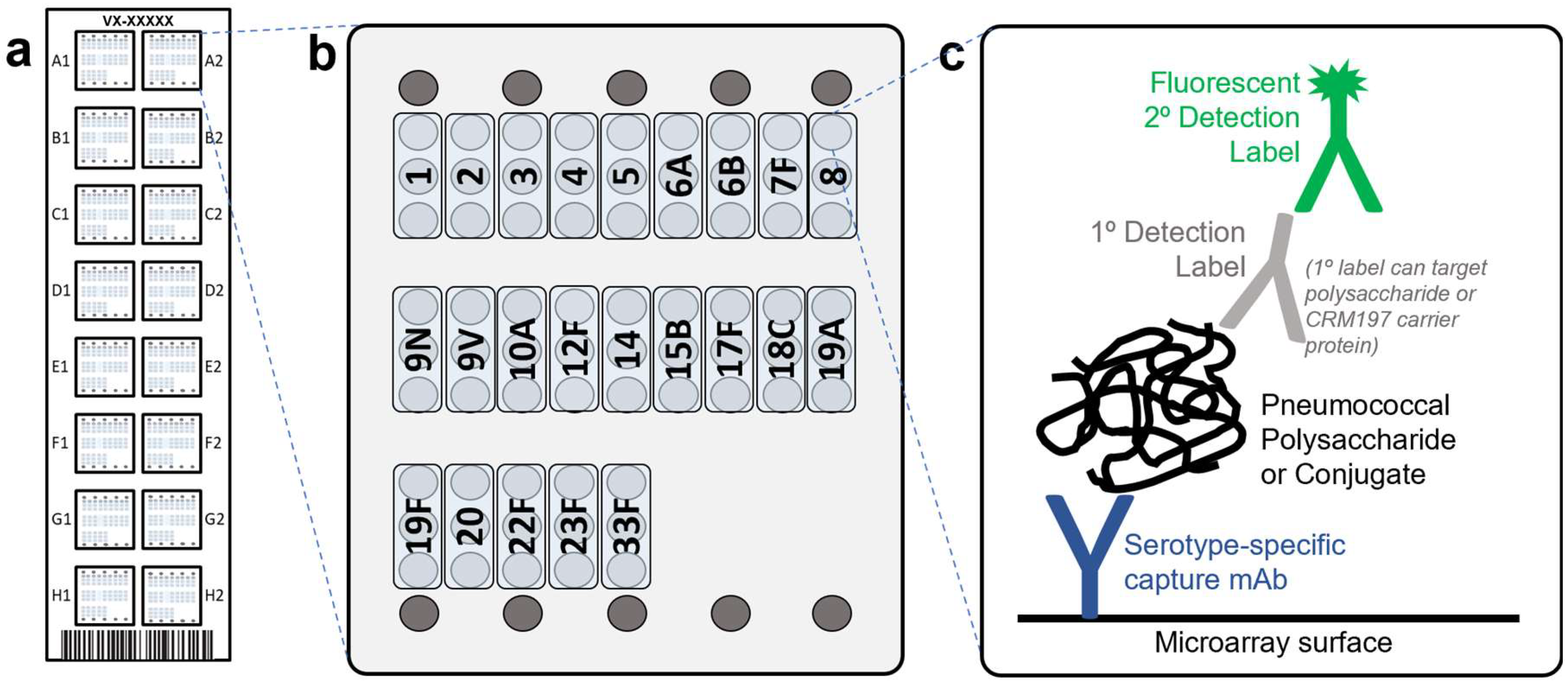 Vaccines 10 01964 g001 Vaccines 10 01964 g001