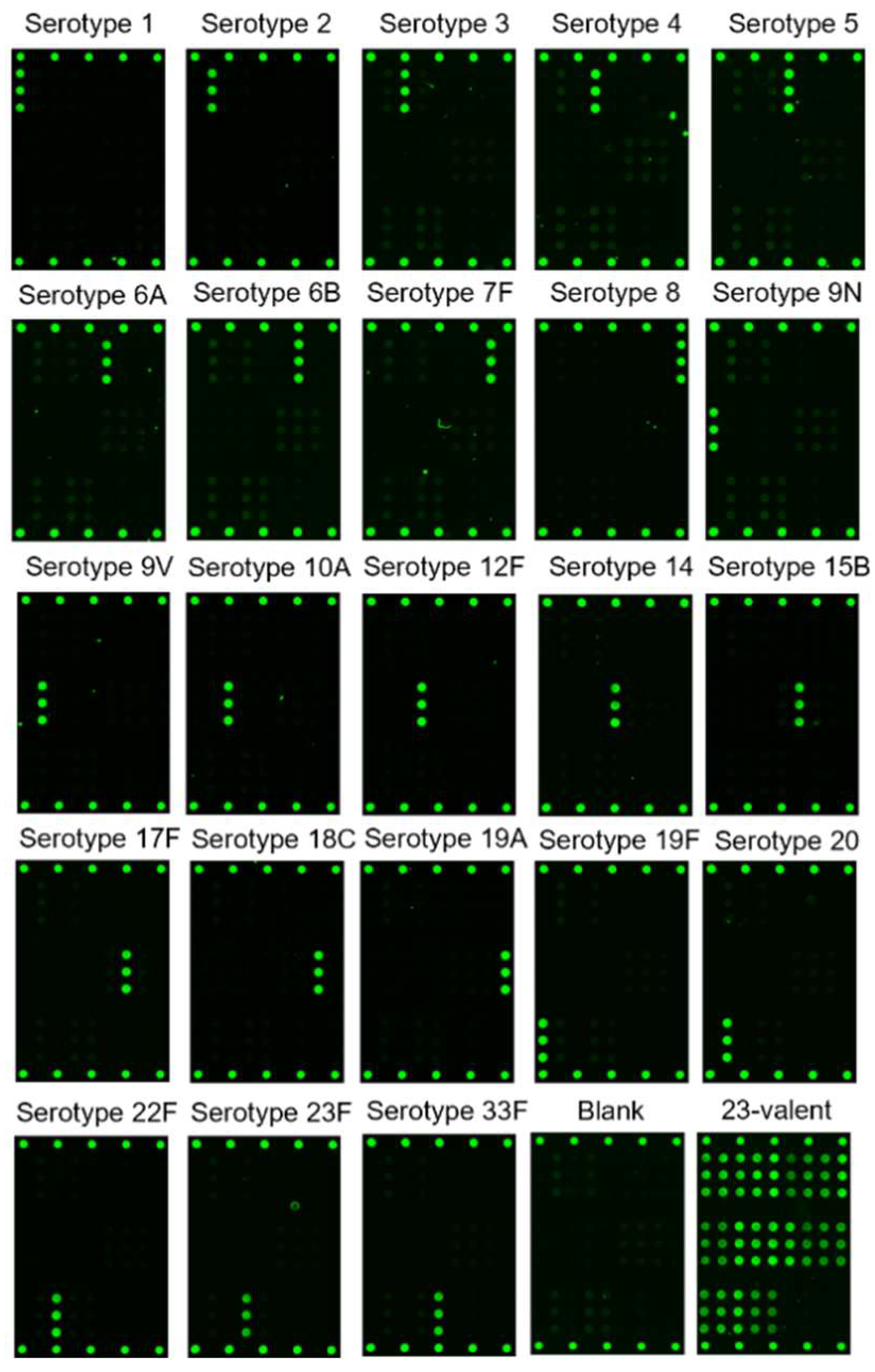 Vaccines 10 01964 g002 Vaccines 10 01964 g002