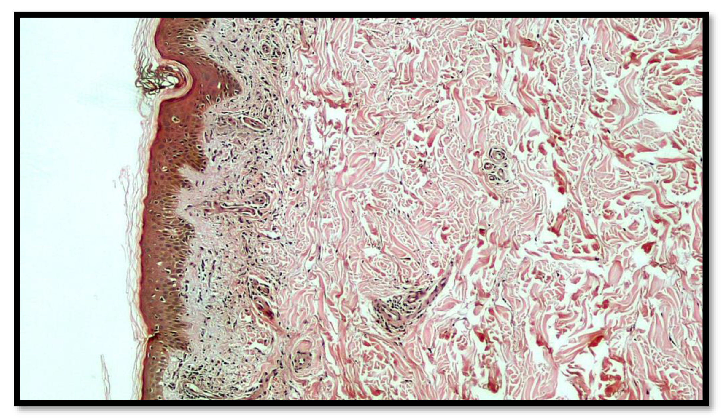 Vaccines 10 01972 g003
