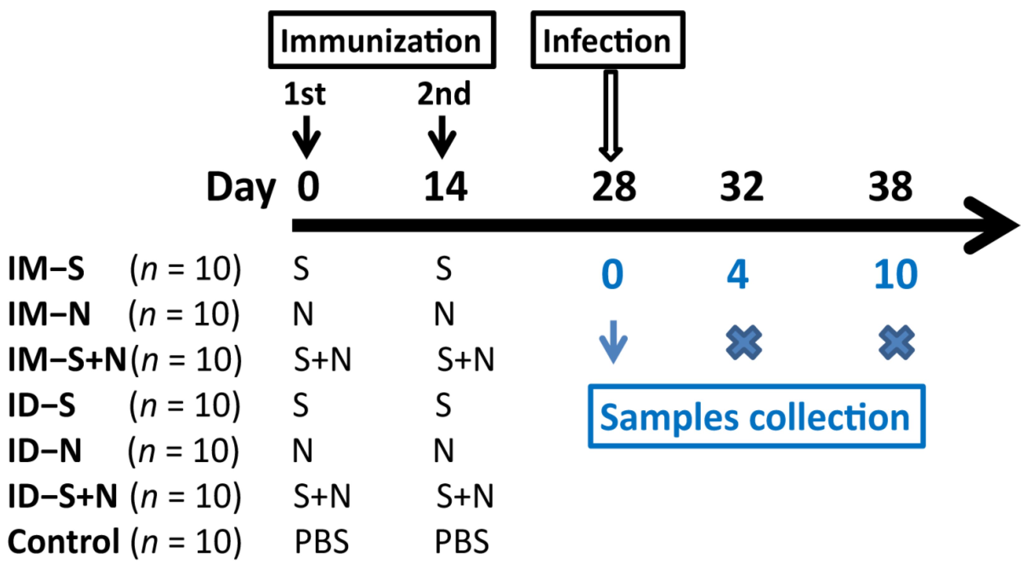 Vaccines 10 01996 g001