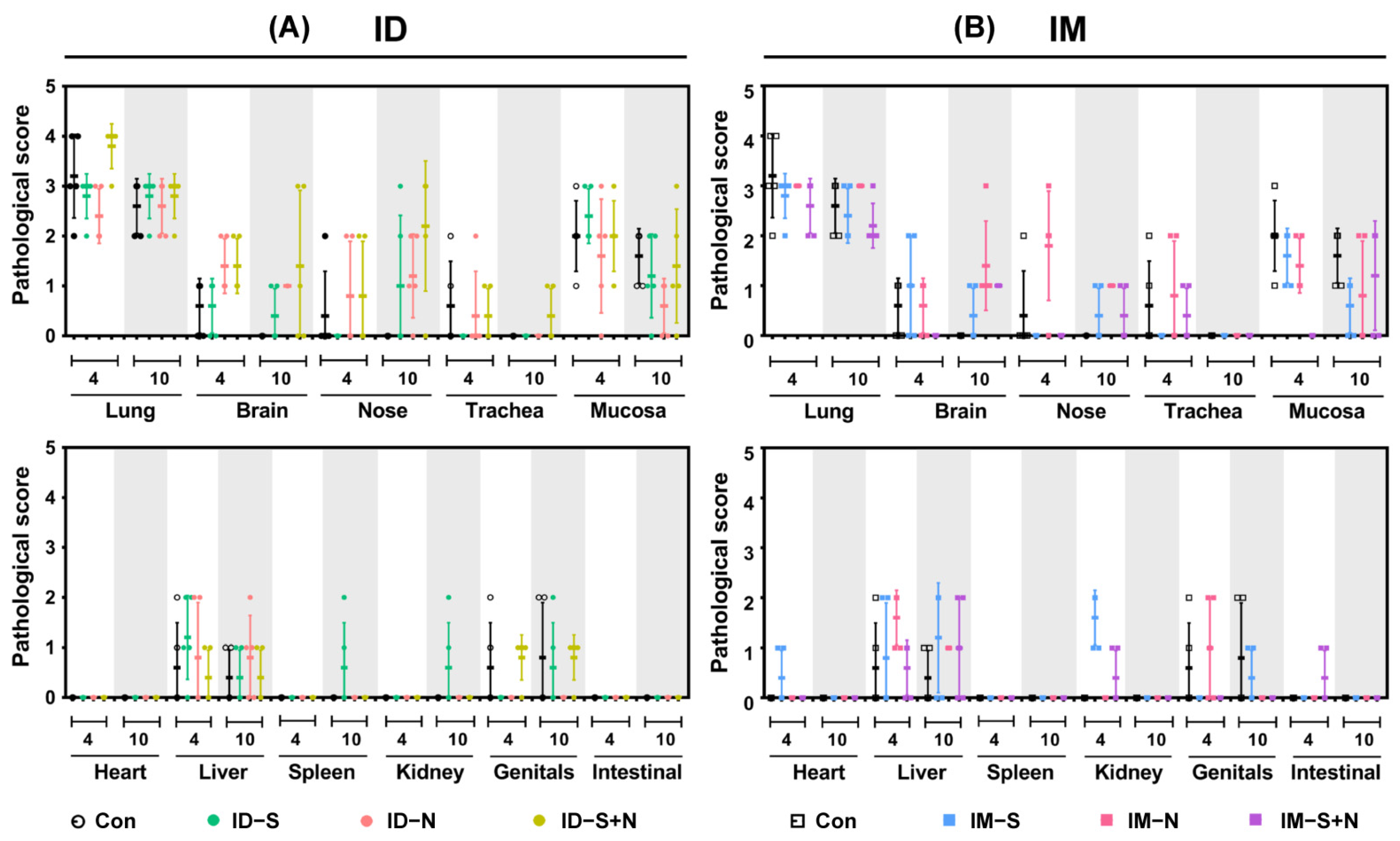 Vaccines 10 01996 g007