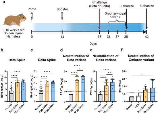 Vaccines 10 01997 g004