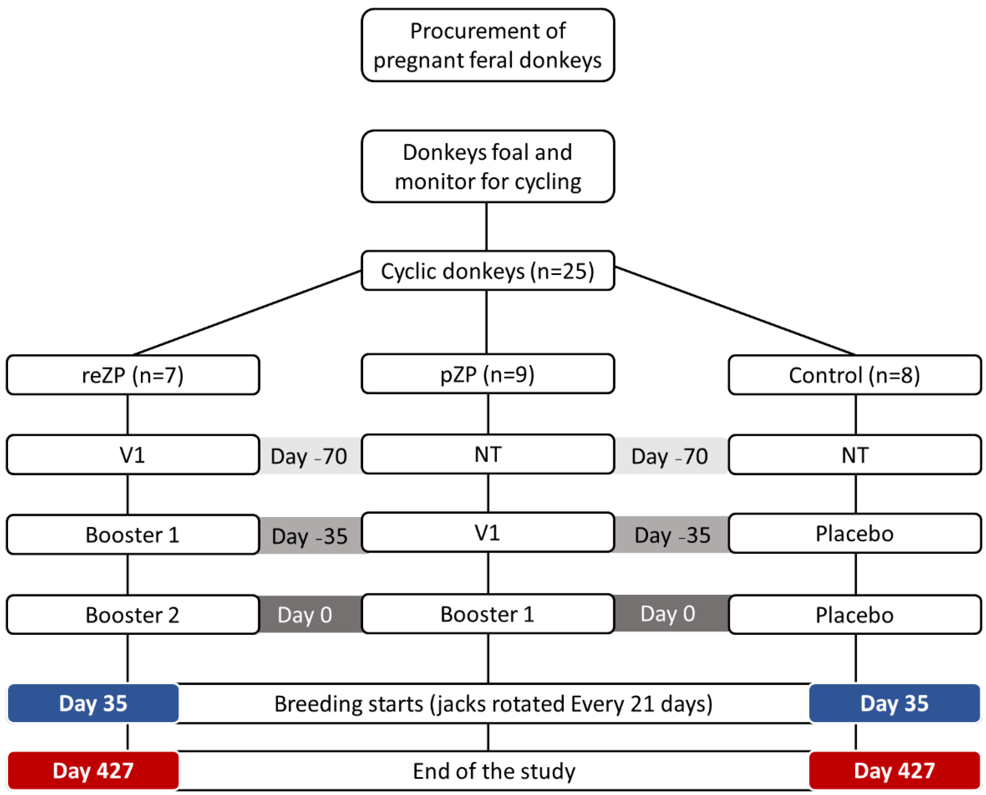Vaccines 10 01999 g001