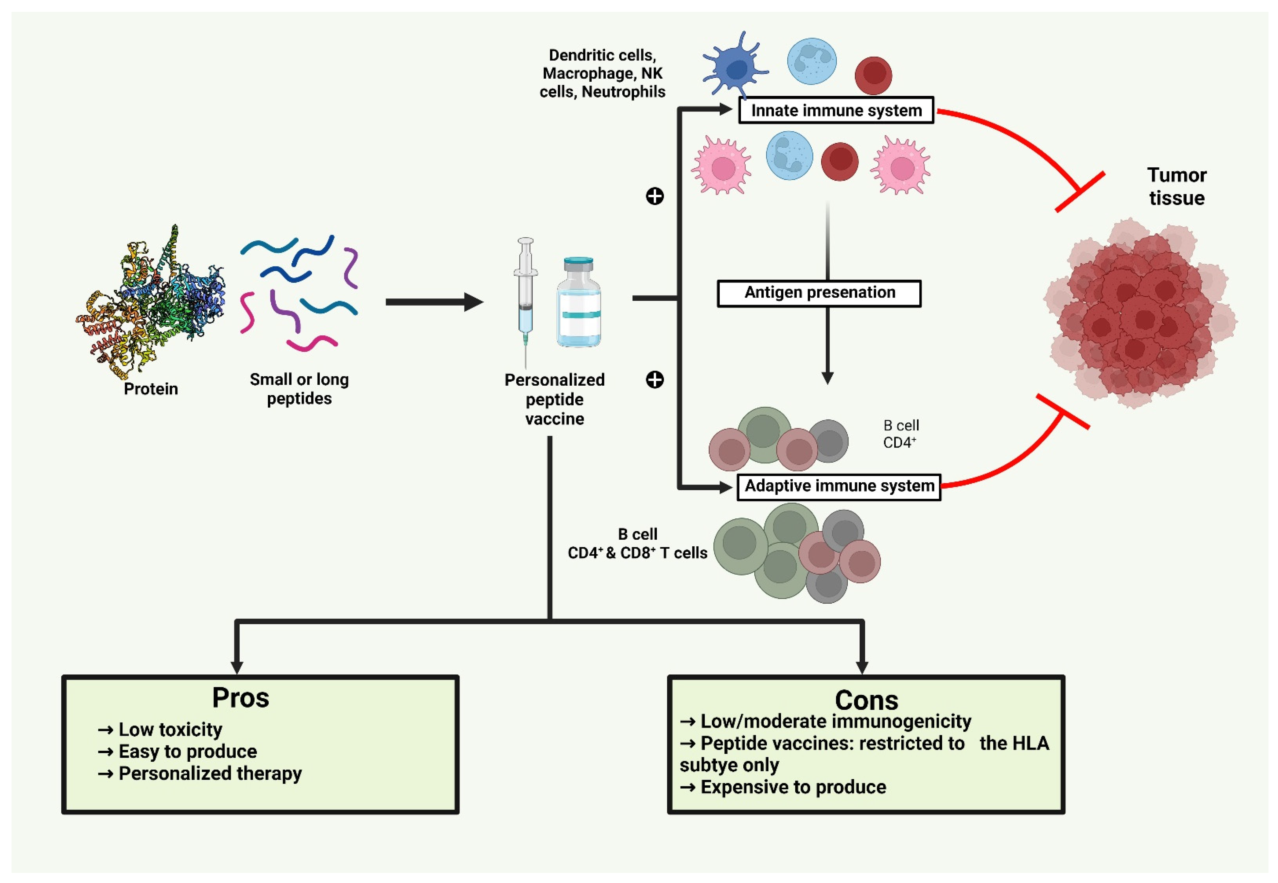 Vaccines 10 02011 g004