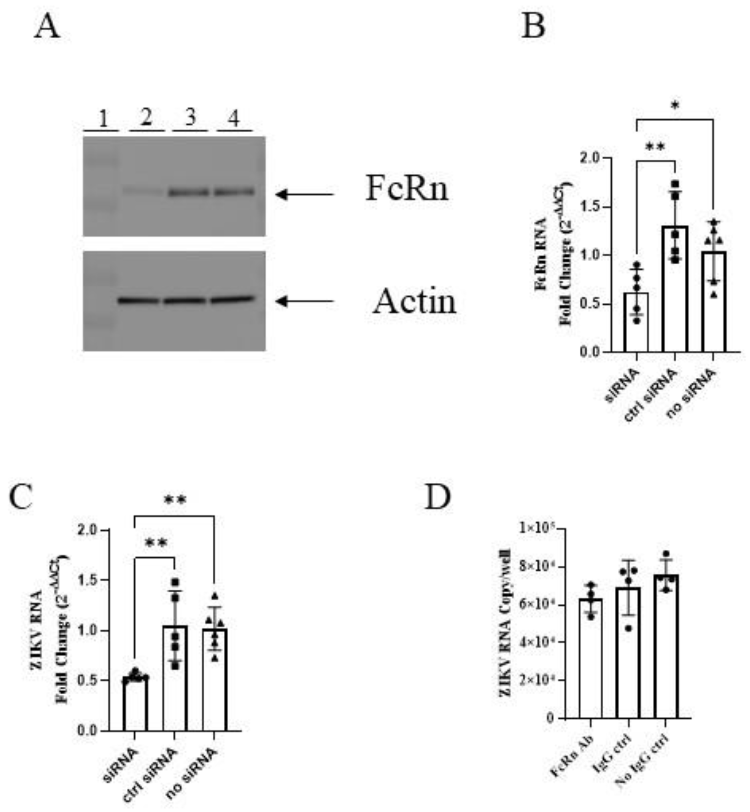 Vaccines 10 02059 g002