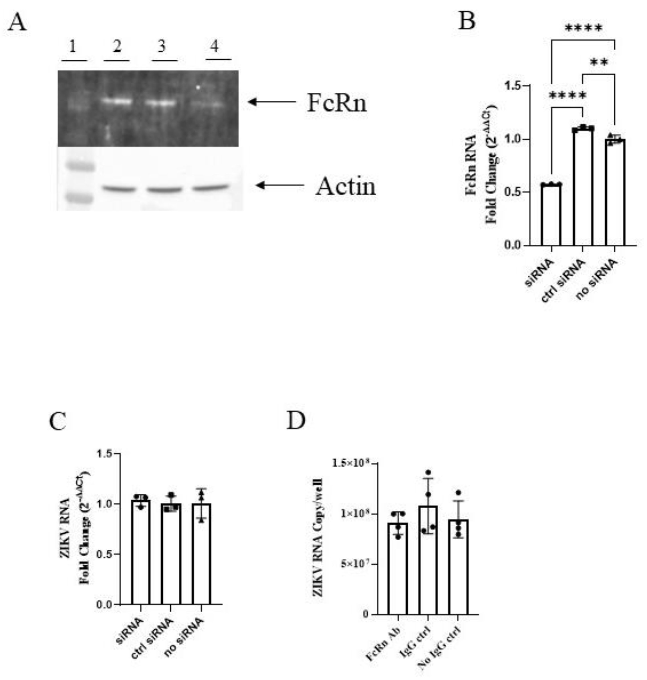 Vaccines 10 02059 g003