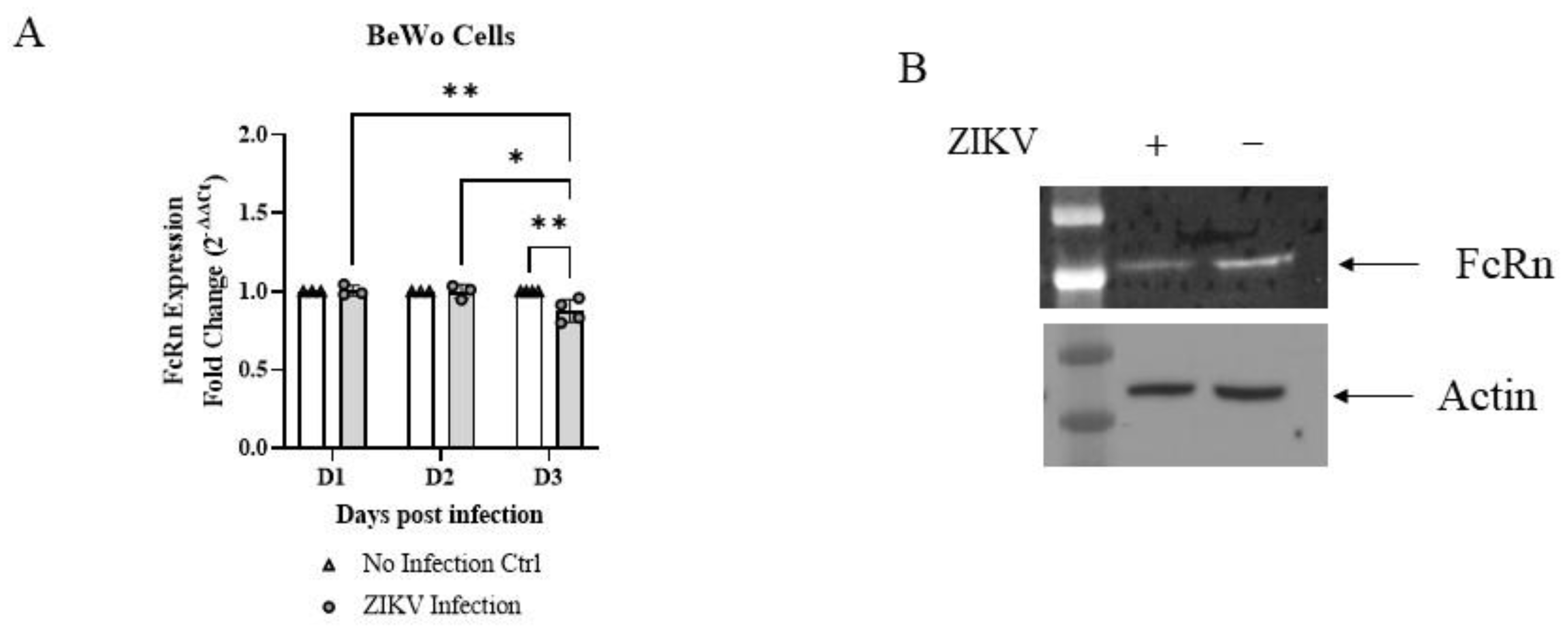 Vaccines 10 02059 g004