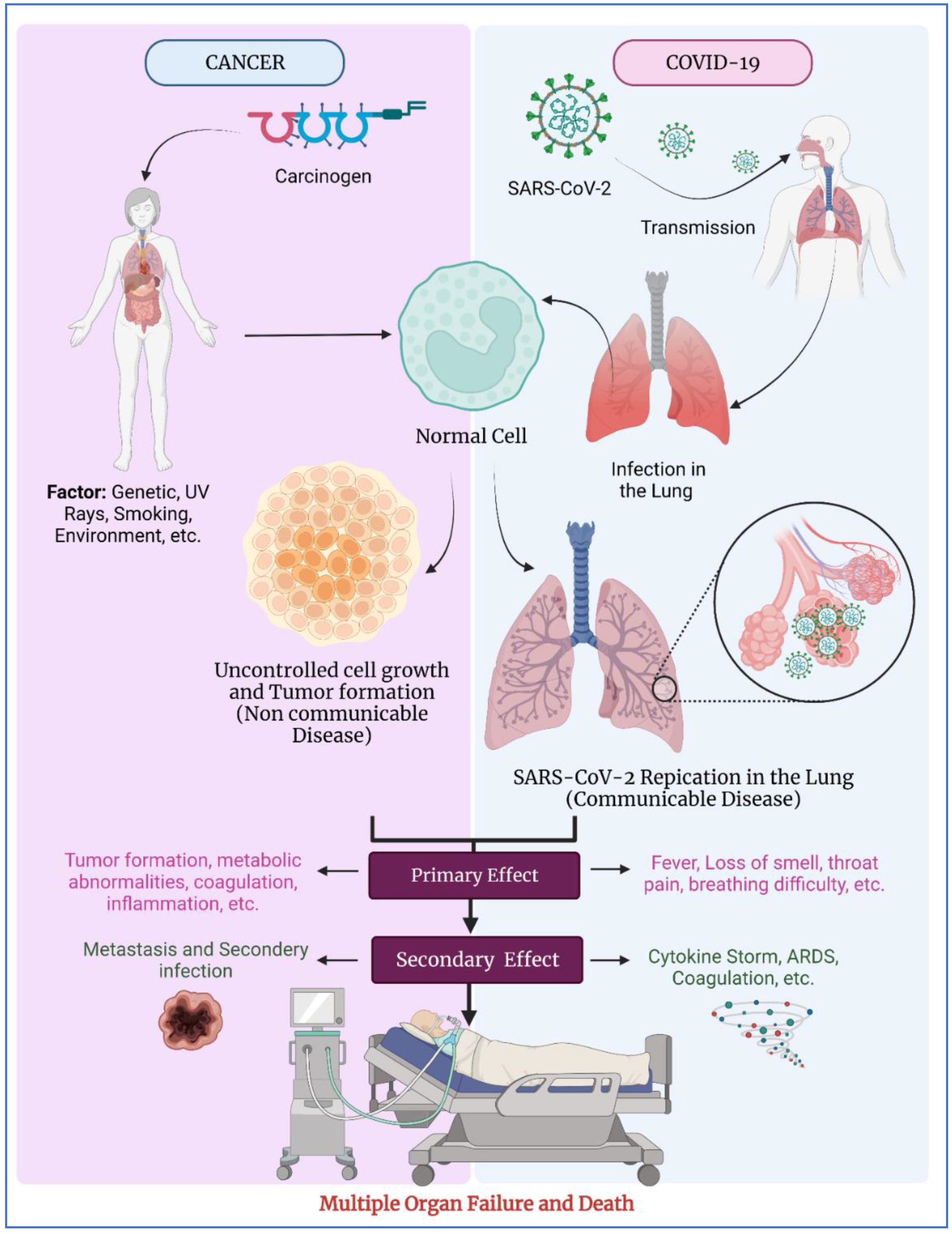 Vaccines 10 02072 g001