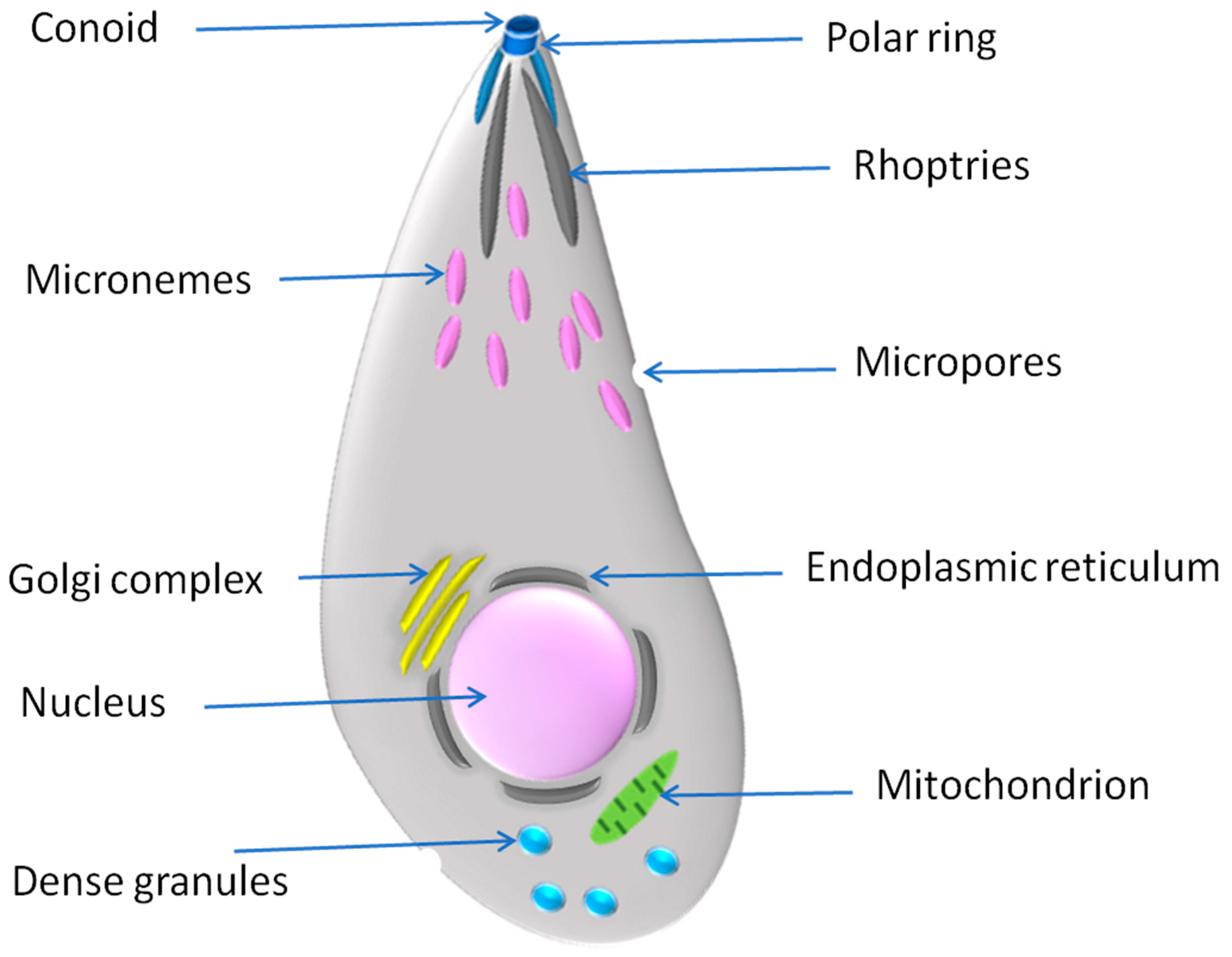 Vaccines 10 02082 g001