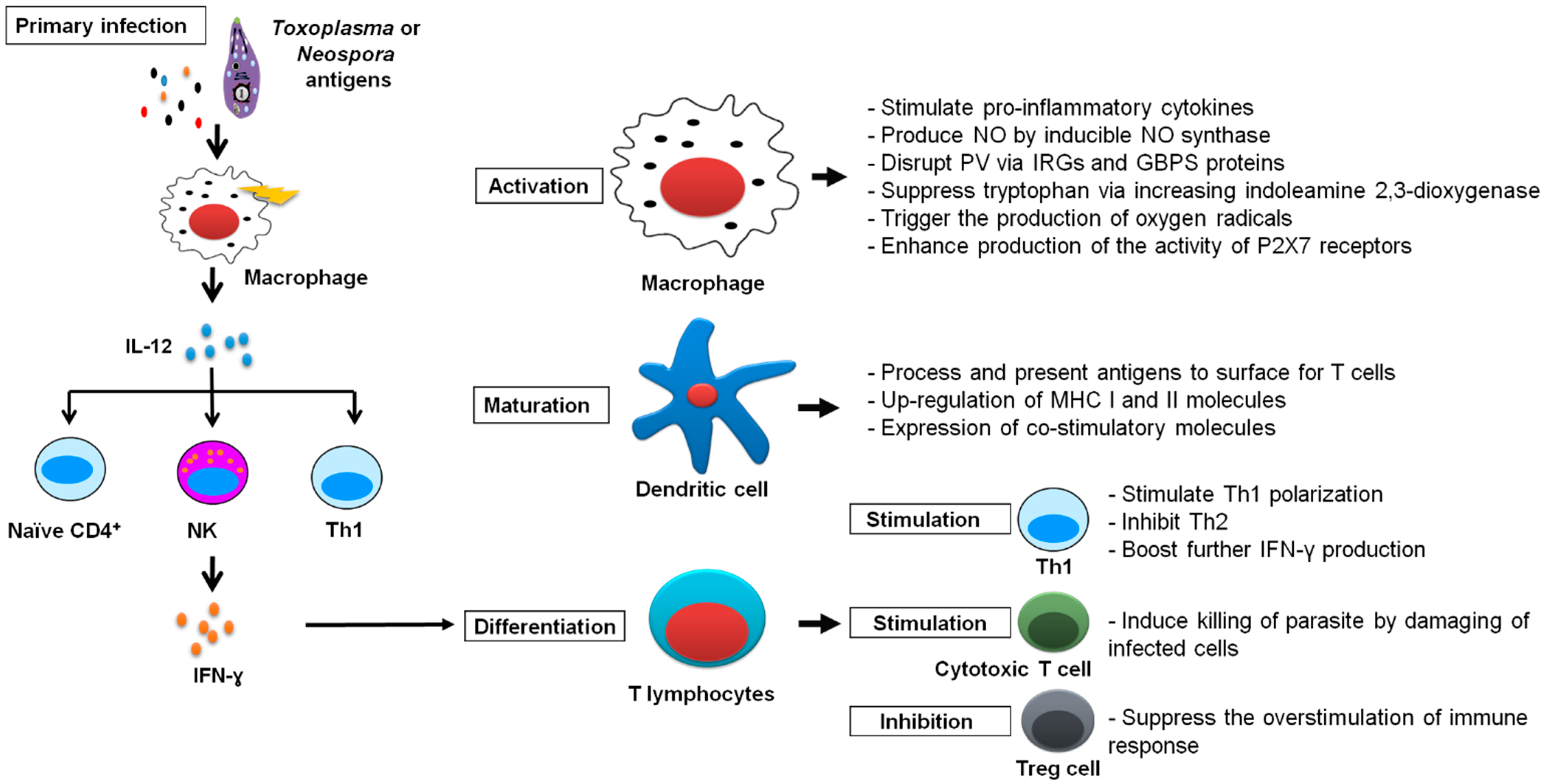 Vaccines 10 02082 g002