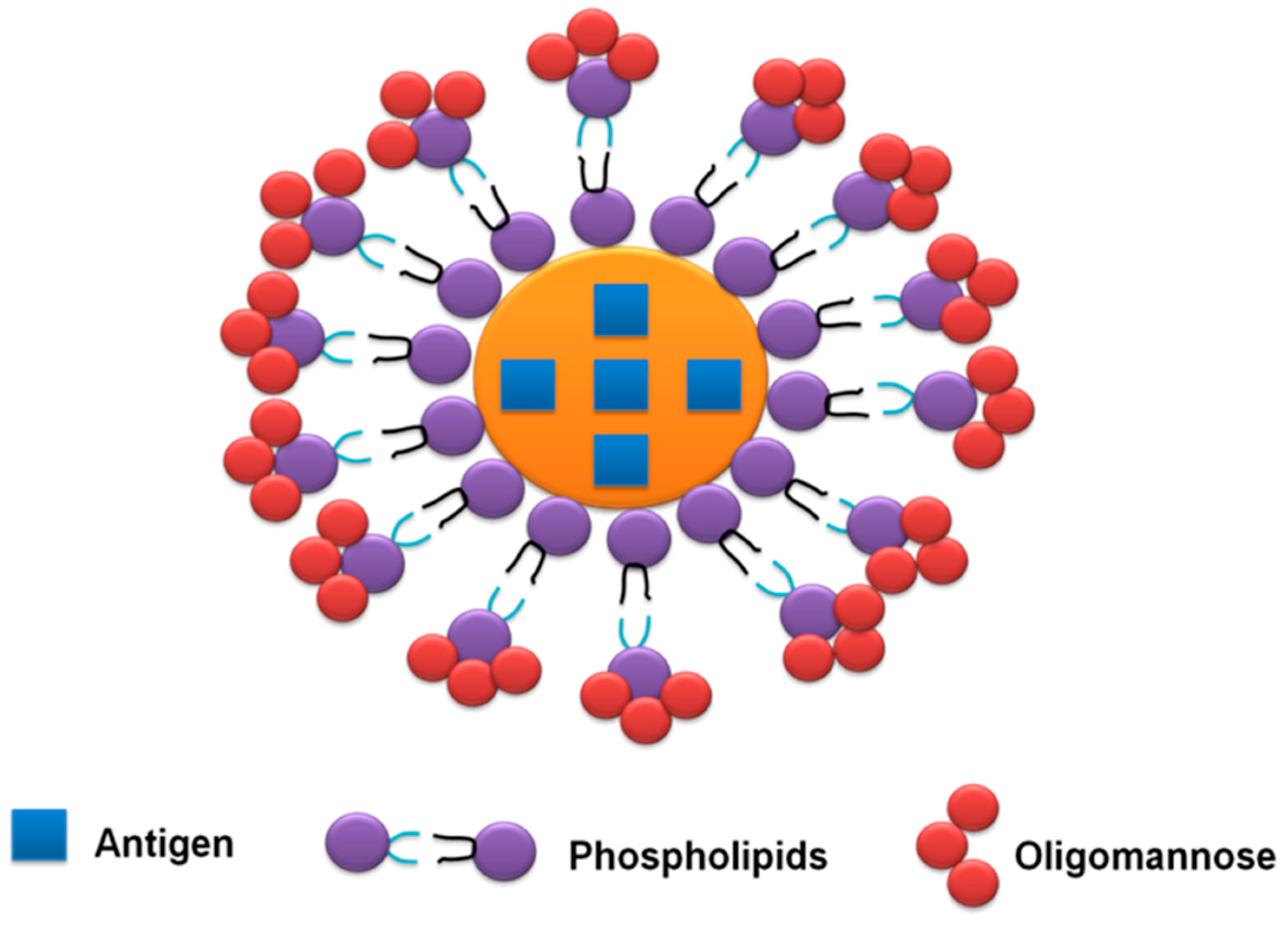 Vaccines 10 02082 g005
