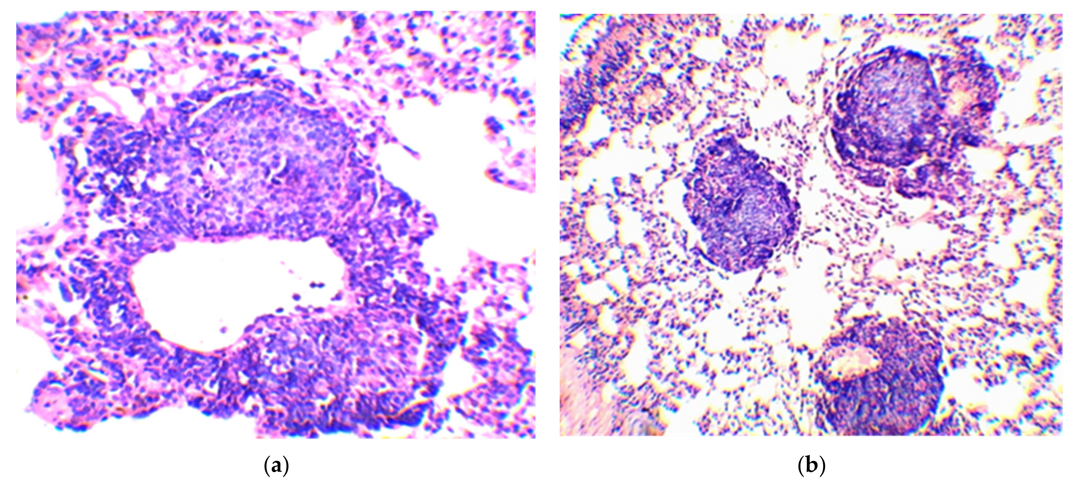 Vaccines 10 02084 g003