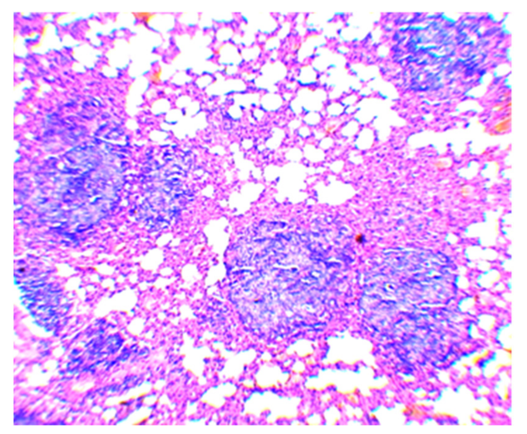 Vaccines 10 02084 g004