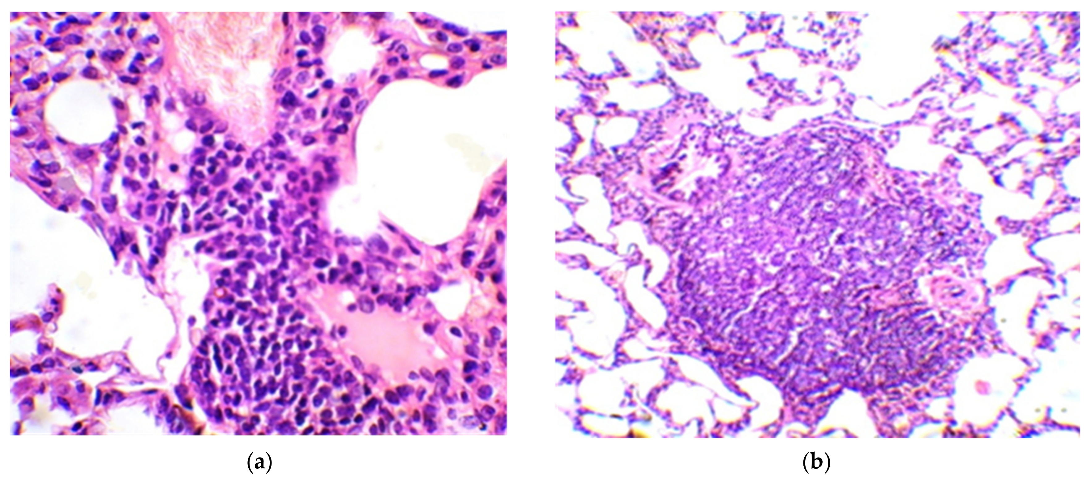 Vaccines 10 02084 g005