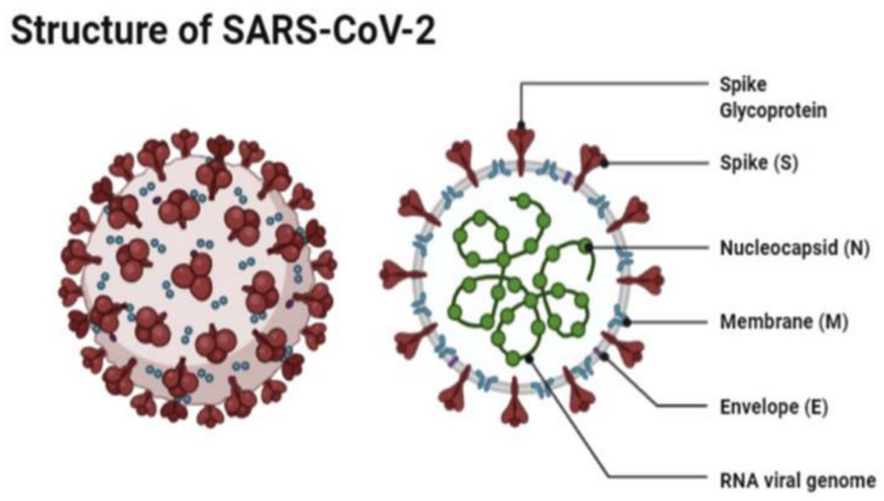 Vaccines 10 02086 g001
