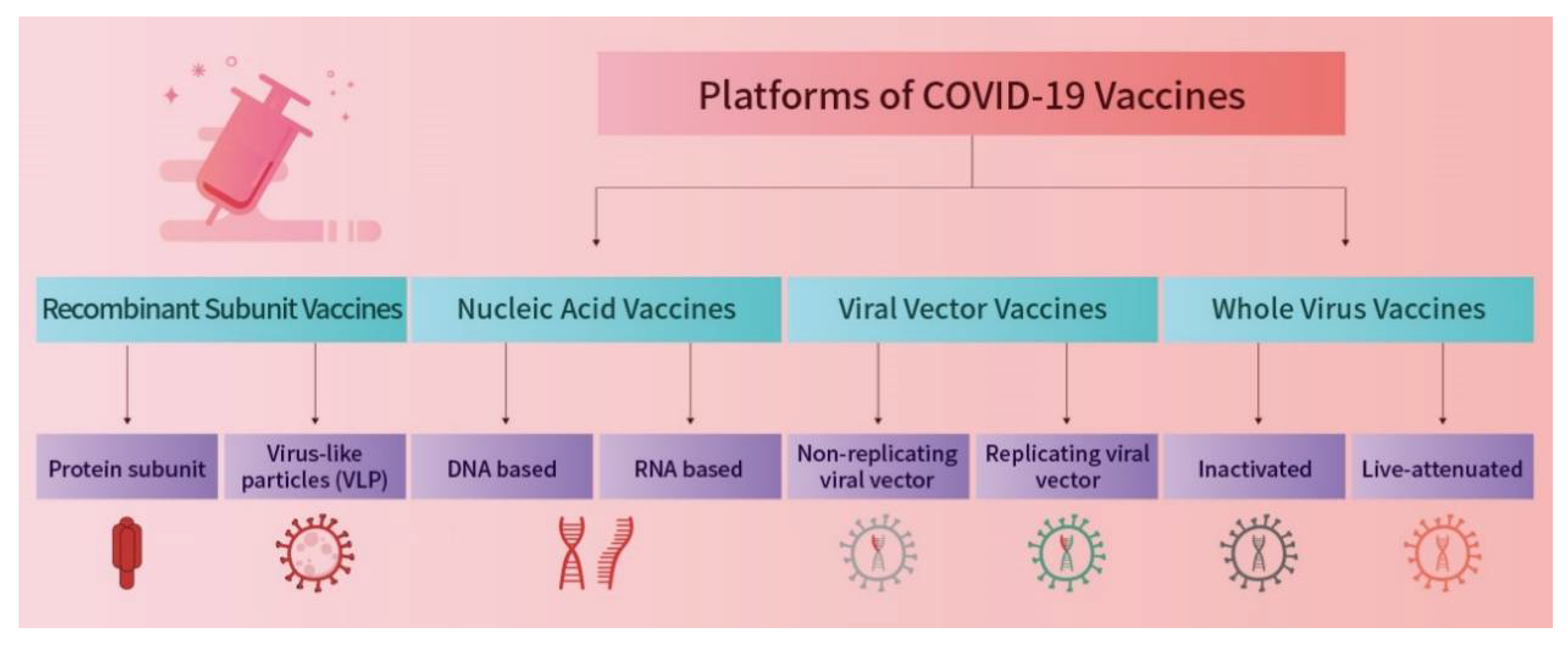 Vaccines 10 02086 g002