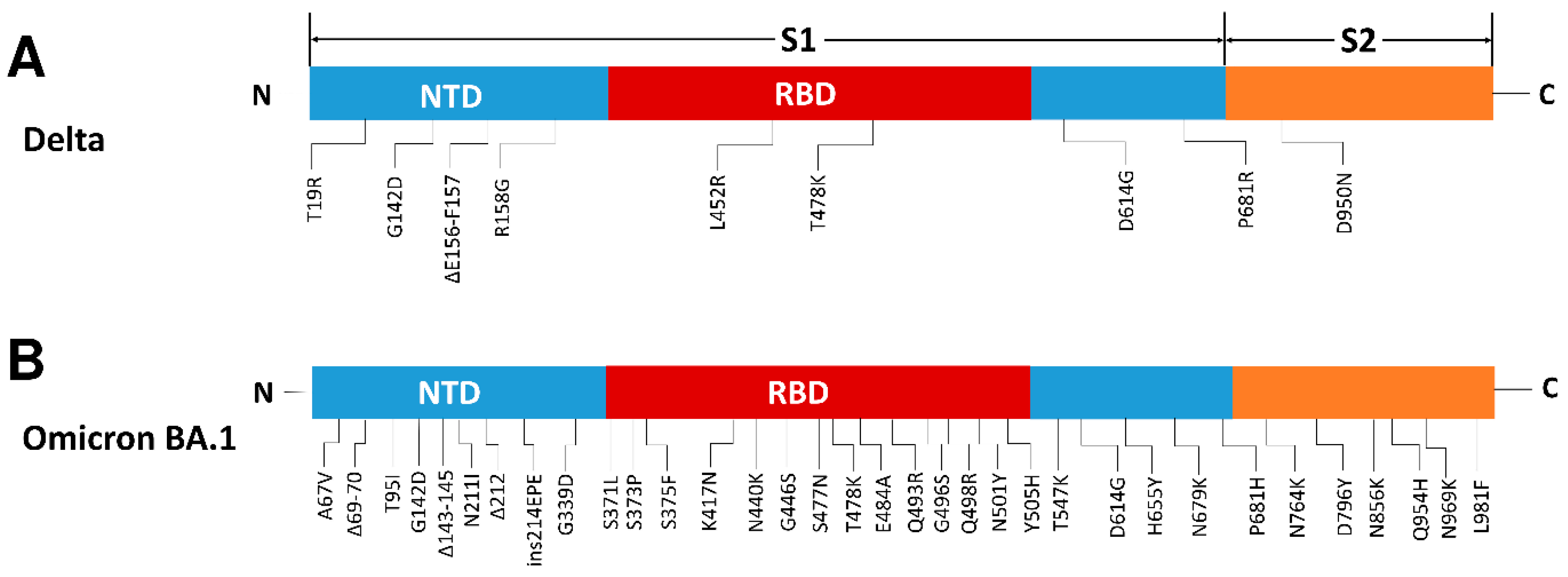Vaccines 10 02111 g001