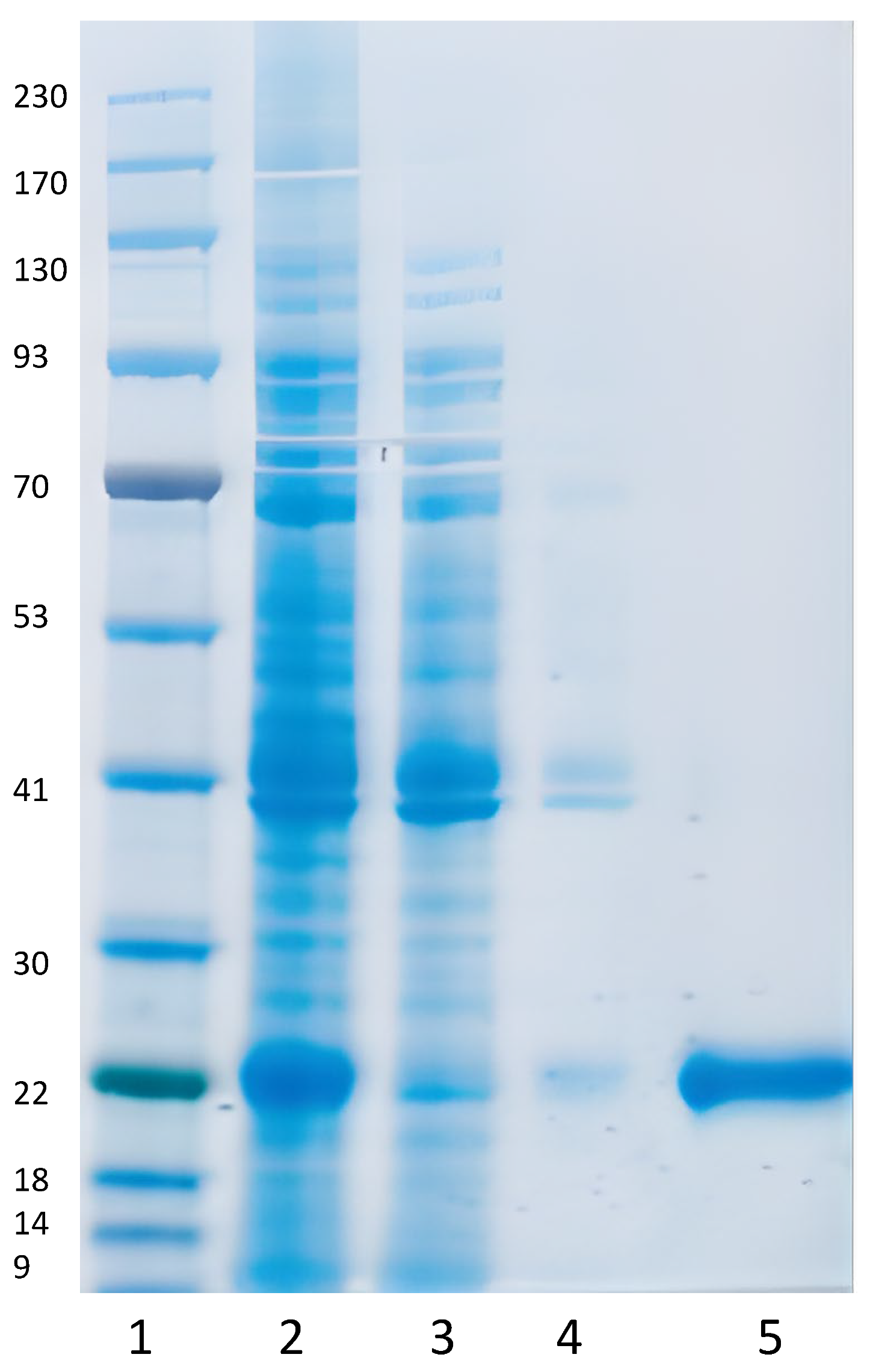 Vaccines 10 02119 g004